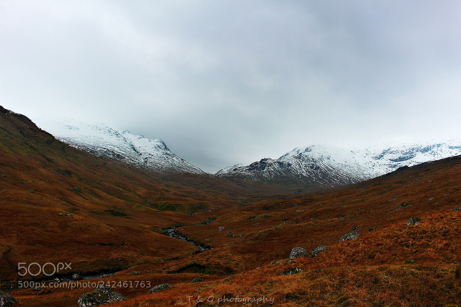 Canon EOS 100D (EOS Rebel SL1 / EOS Kiss X7) sample photo. Winter in the glen photography