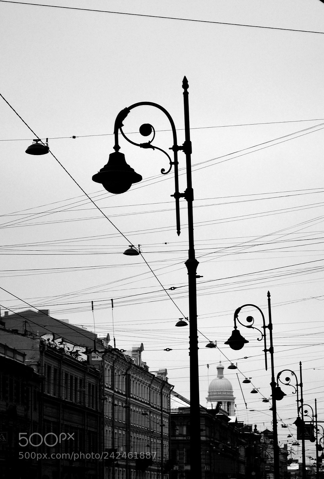 Nikon D3100 sample photo. Untitled photography