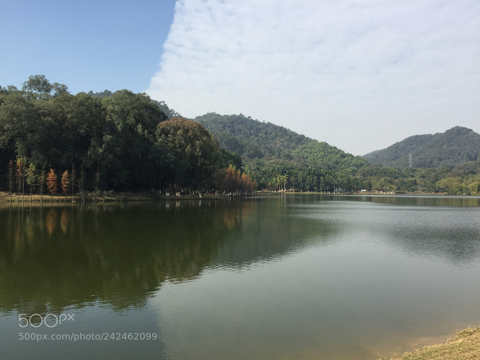 Apple iPhone 6 sample photo. My favorite park in photography
