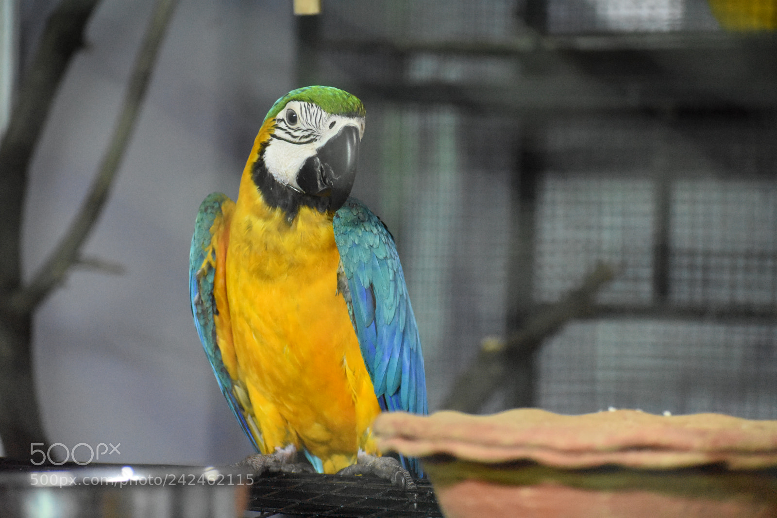 Nikon D3400 sample photo. Dsc photography