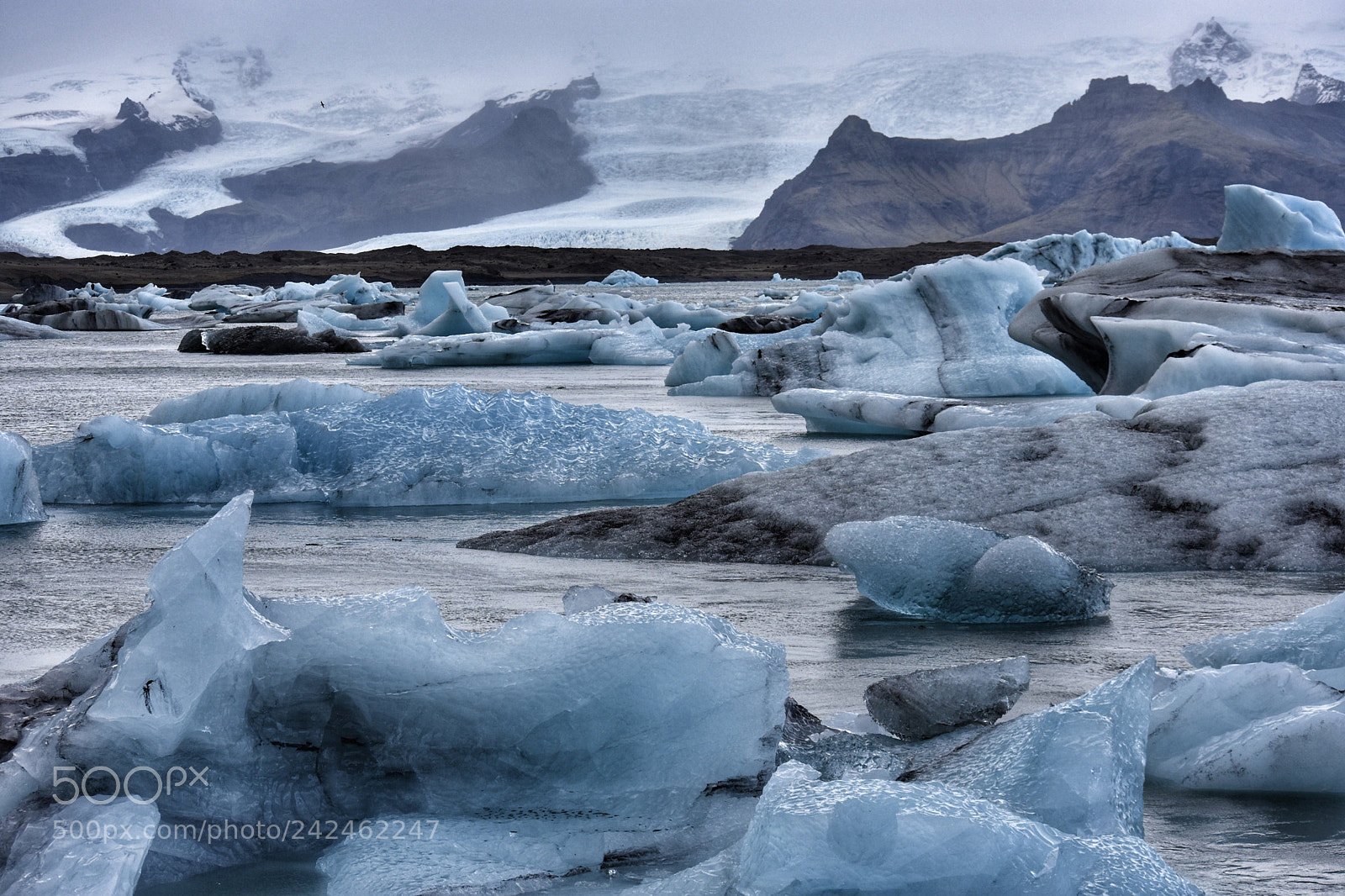 Nikon D3400 sample photo. Great icebergs photography