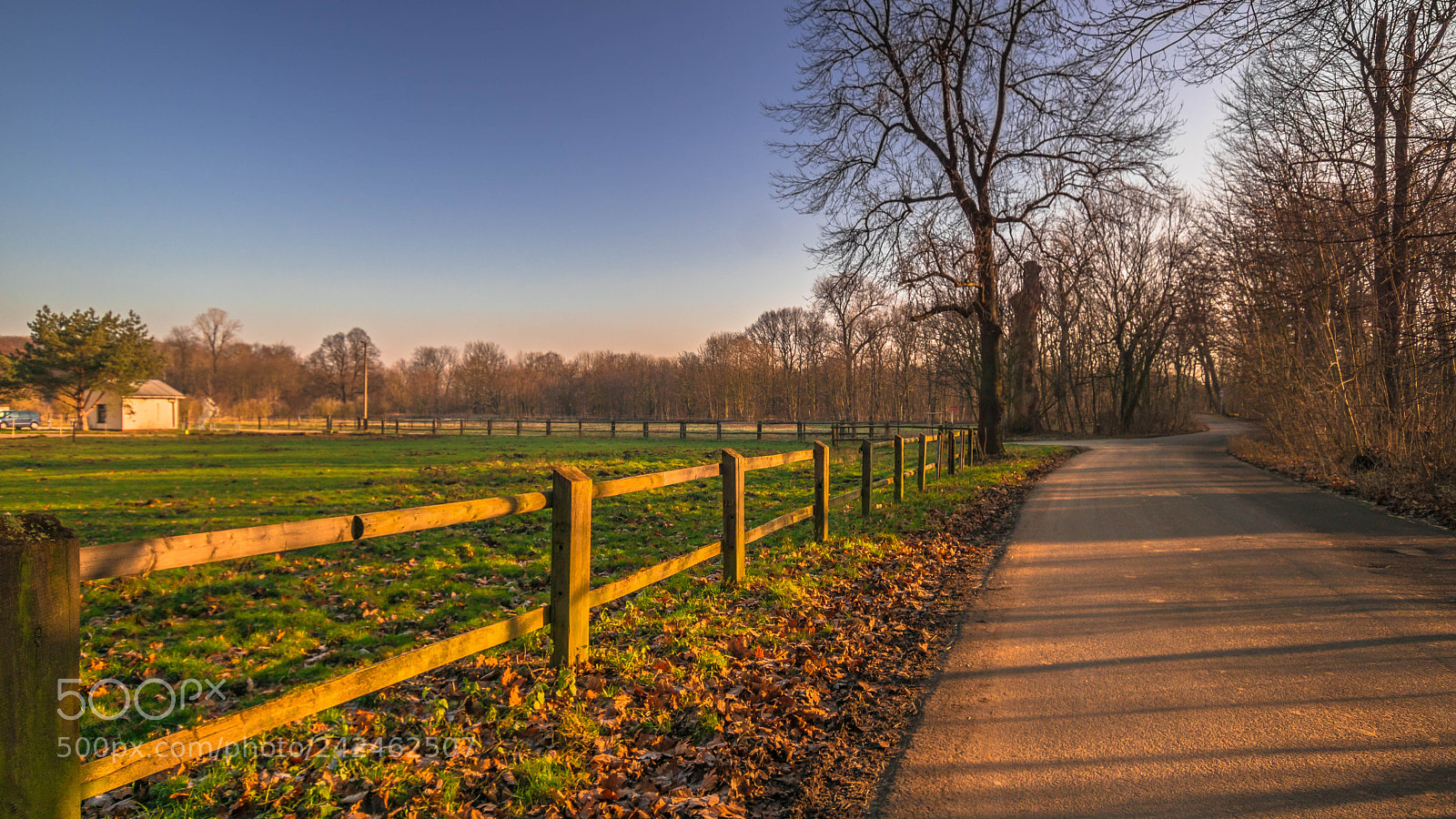 Sony ILCA-77M2 sample photo. Morning at the farm photography