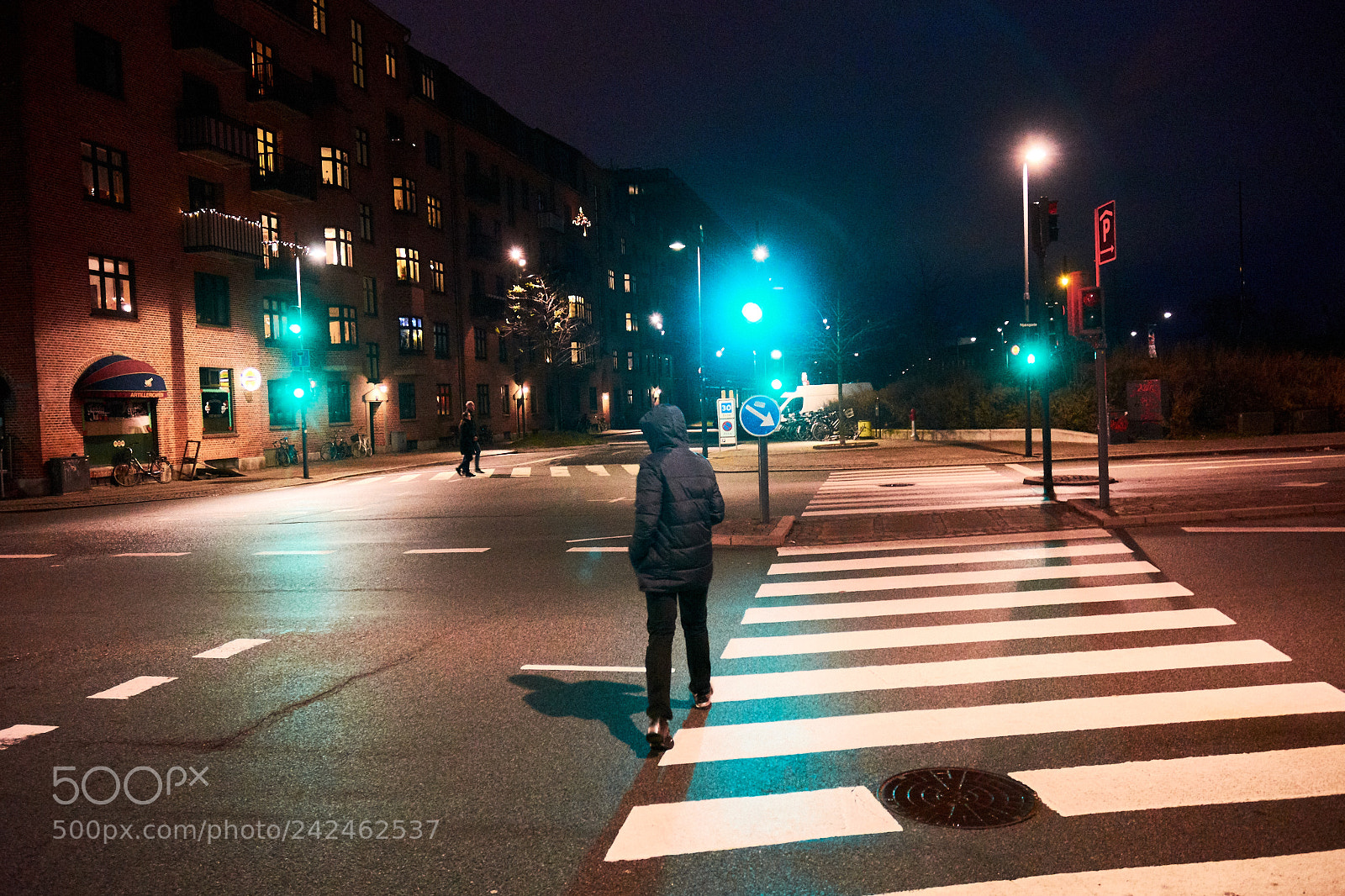 Nikon D7200 sample photo. Just walking photography