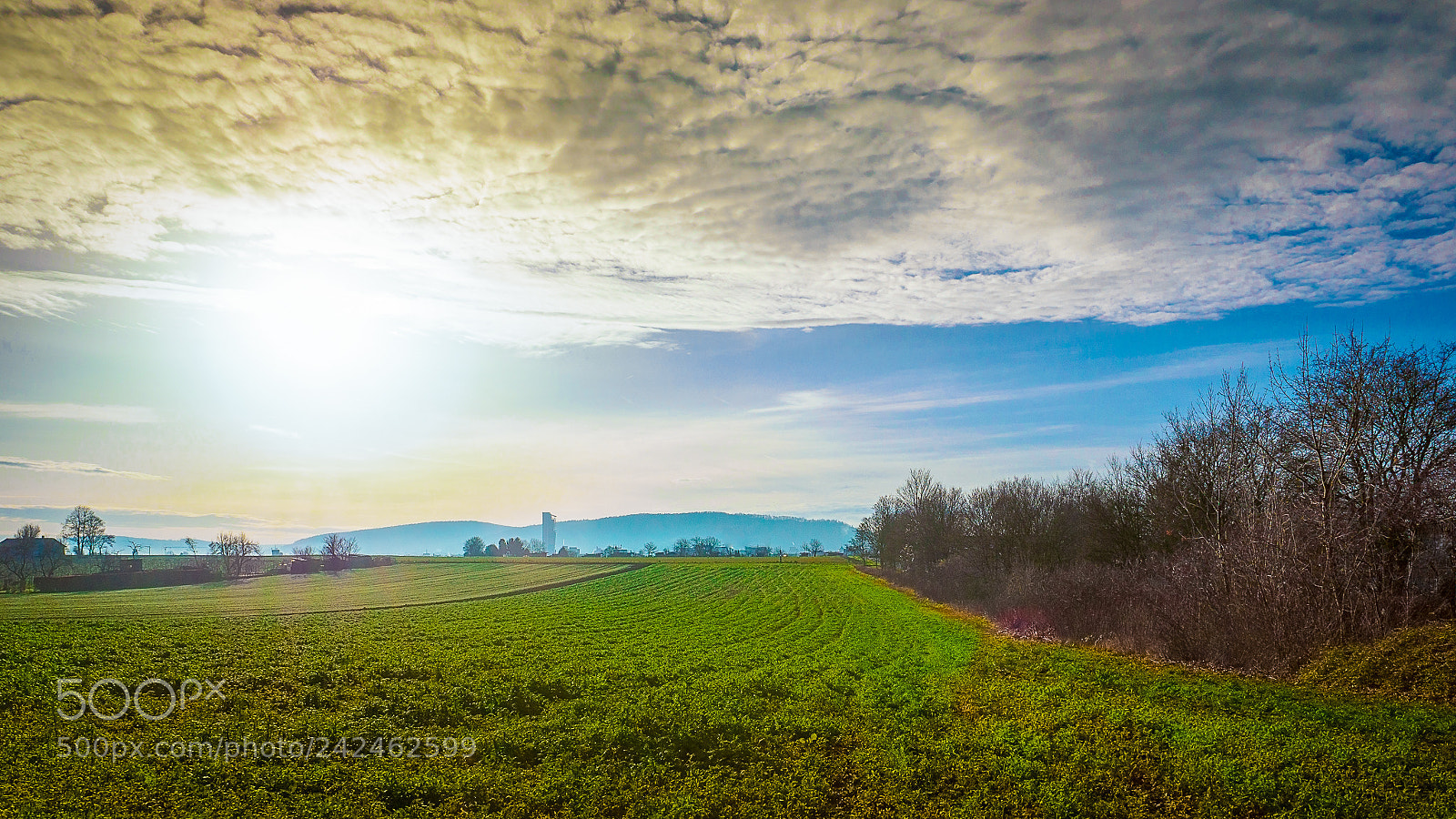 Olympus OM-D E-M5 II sample photo. Blick von schmiden in photography