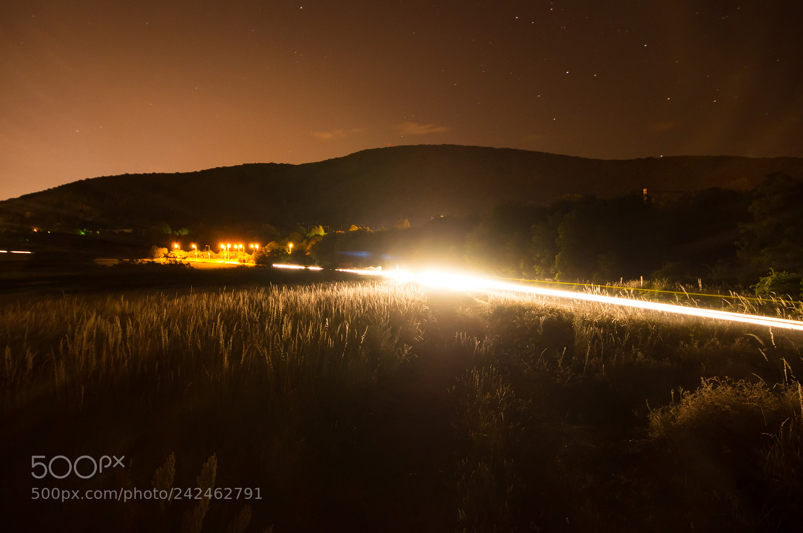 Sony SLT-A57 sample photo. Lights in fields photography