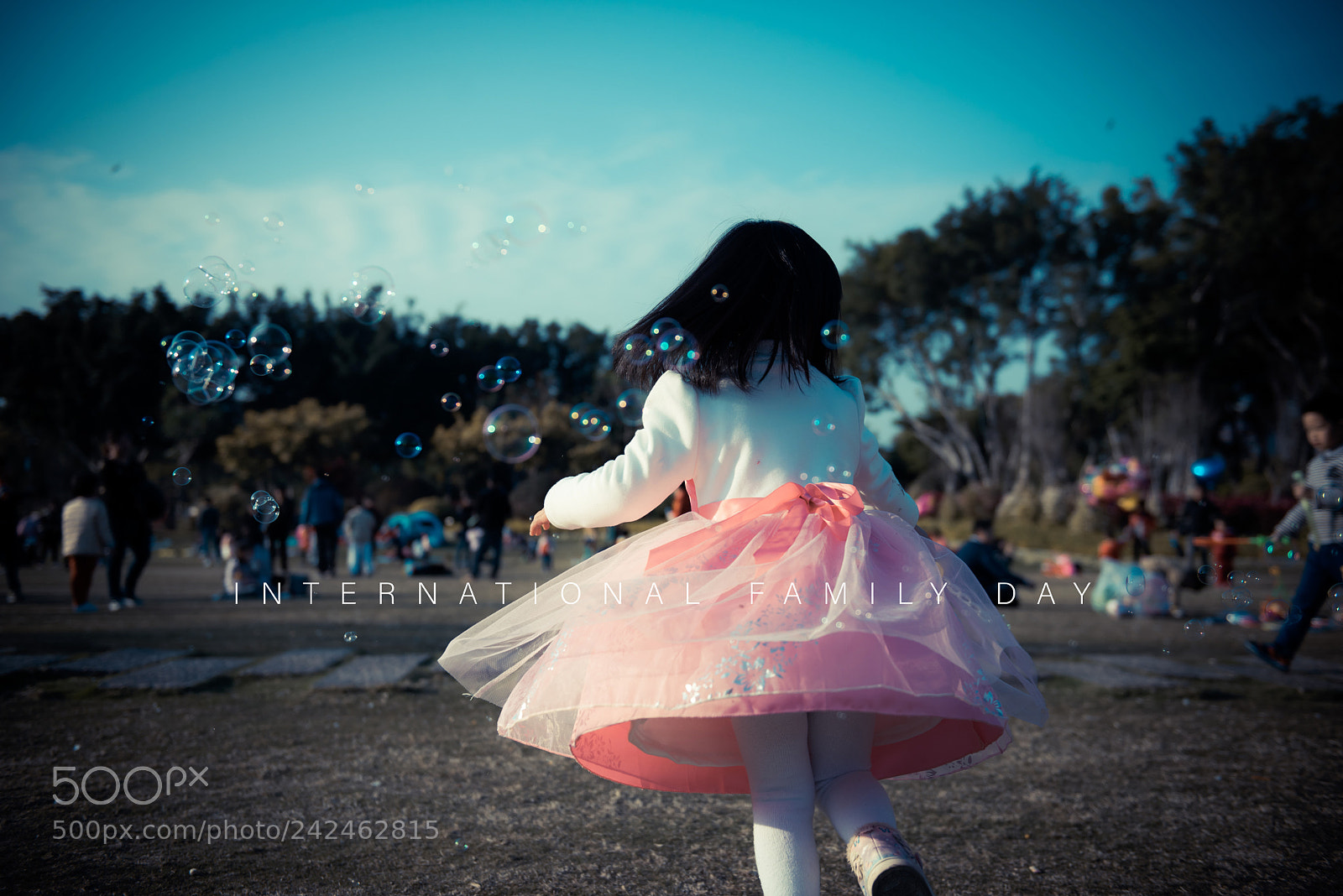 Nikon D810 sample photo. Untitled photography