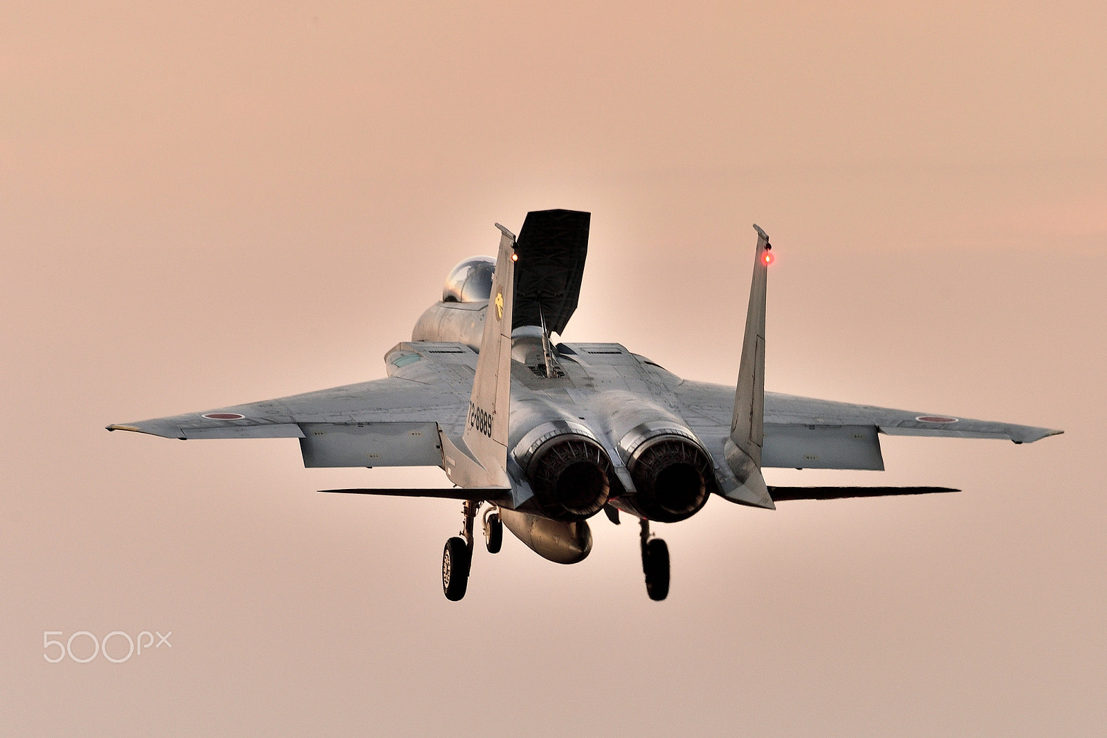 Nikon AF-S Nikkor 200-500mm F5.6E ED VR sample photo. F-15j landing photography