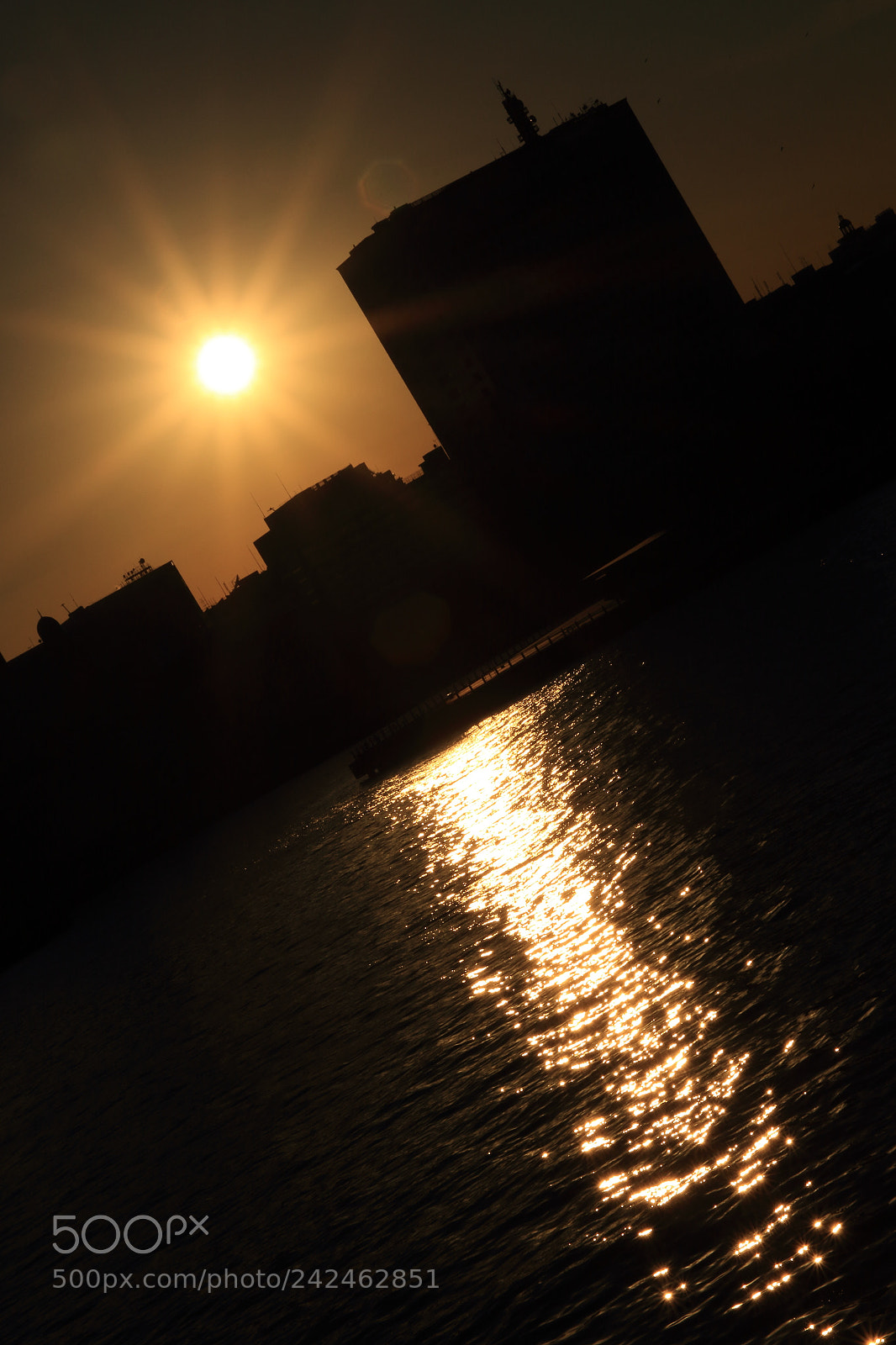 Canon EOS 7D Mark II sample photo. Sun load photography