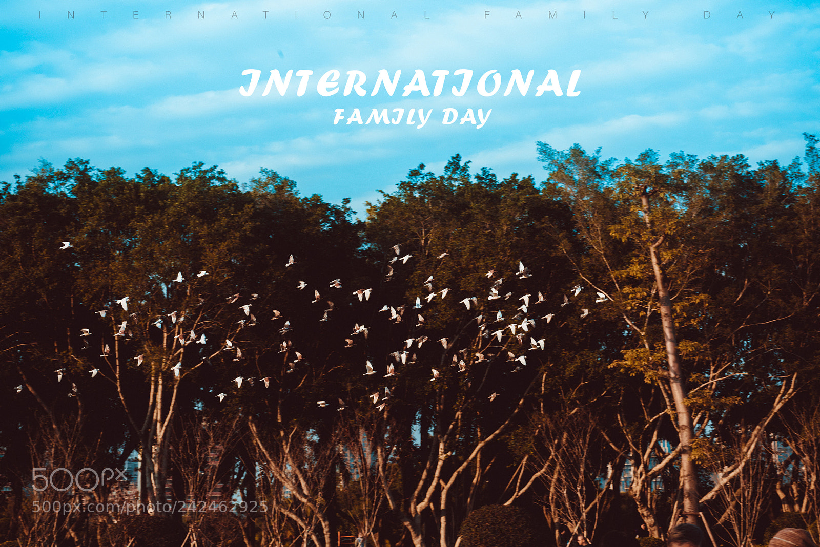 Nikon D810 sample photo. Family day photography