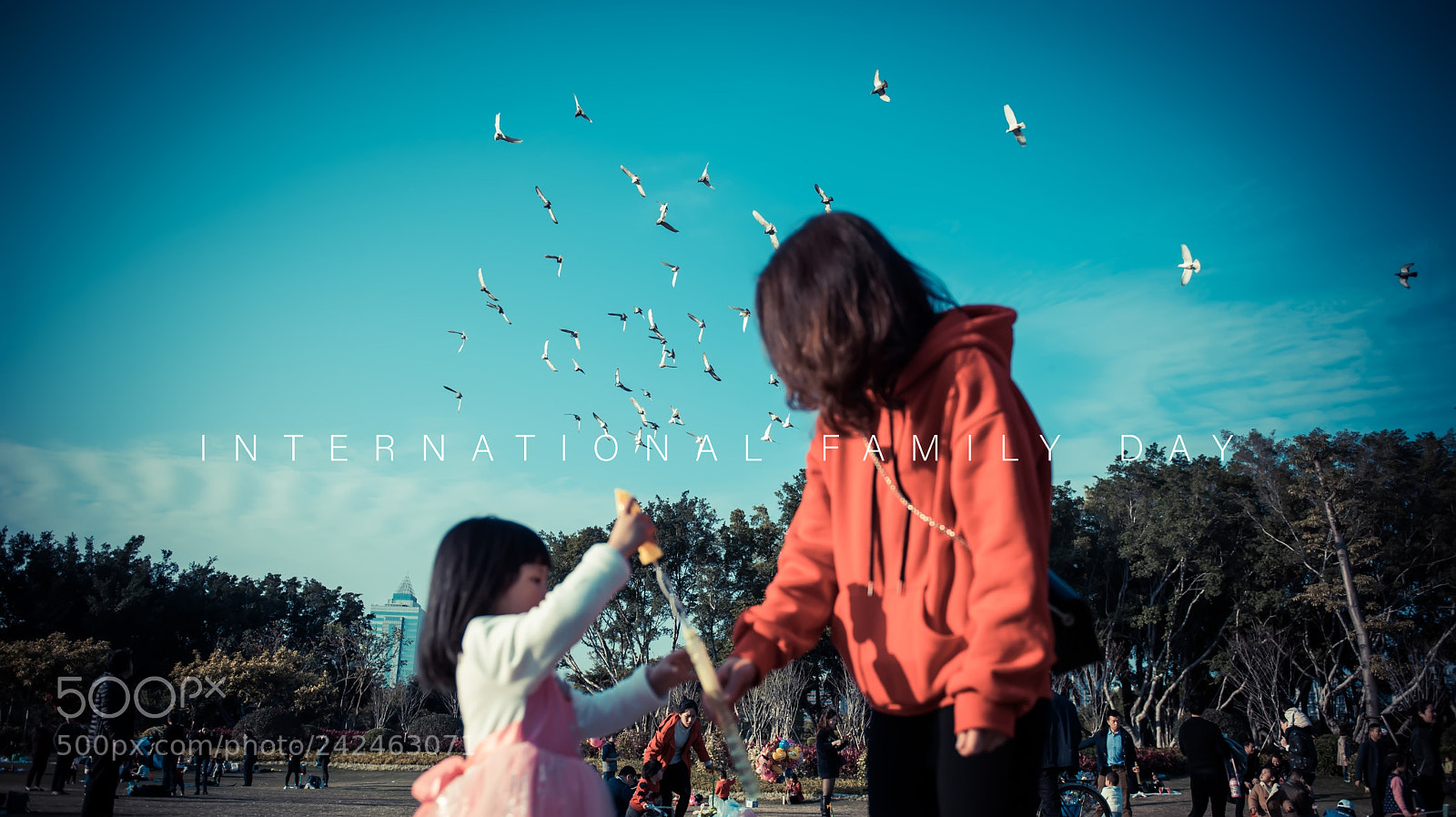 Nikon D810 sample photo. Family day photography