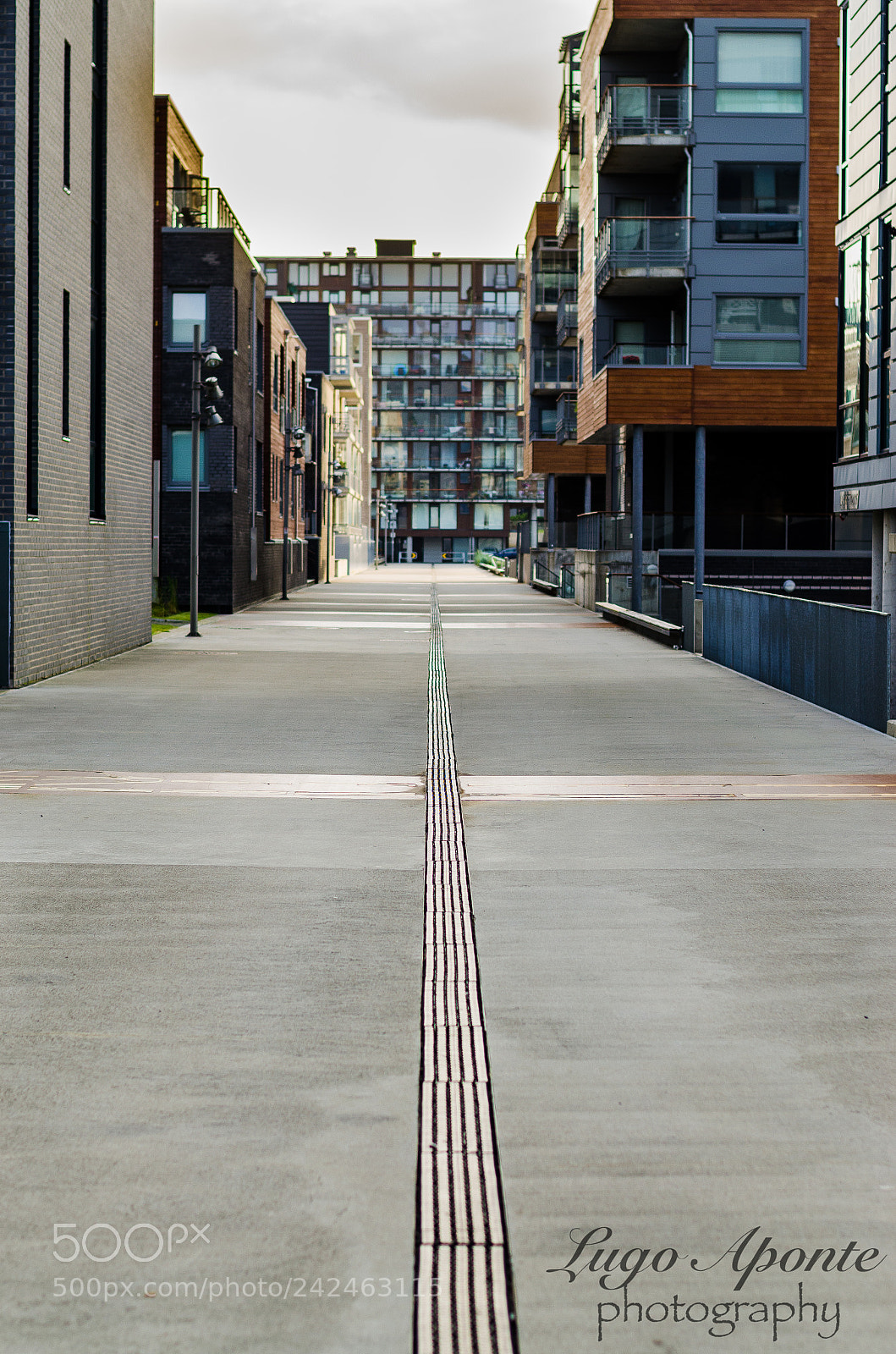 Nikon D5100 sample photo. Hinna alley photography