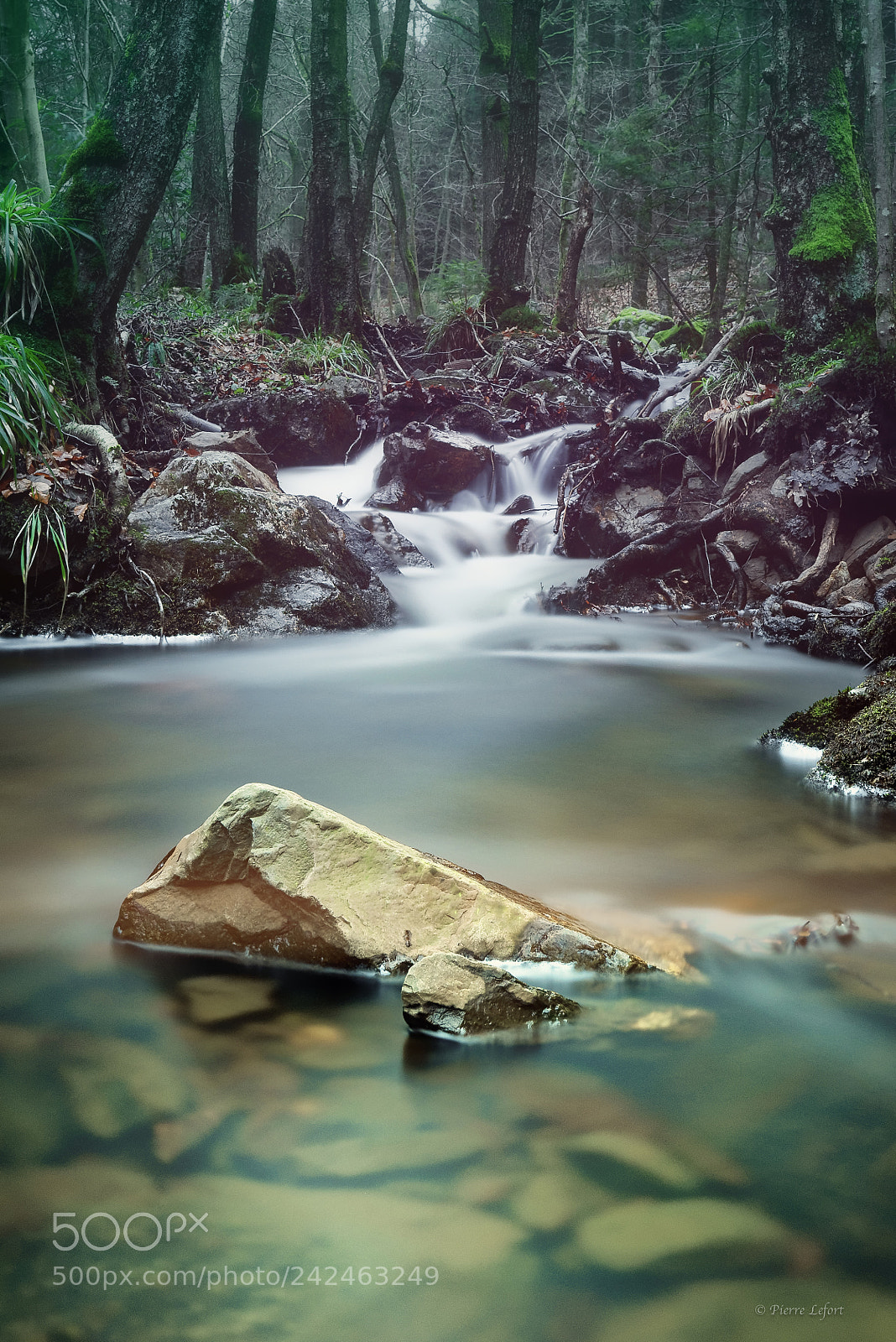 Nikon D800 sample photo. Cascade photography