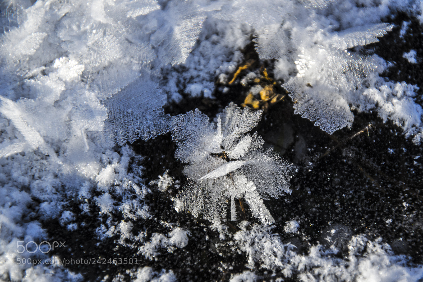 Nikon D3100 sample photo. Crystals photography