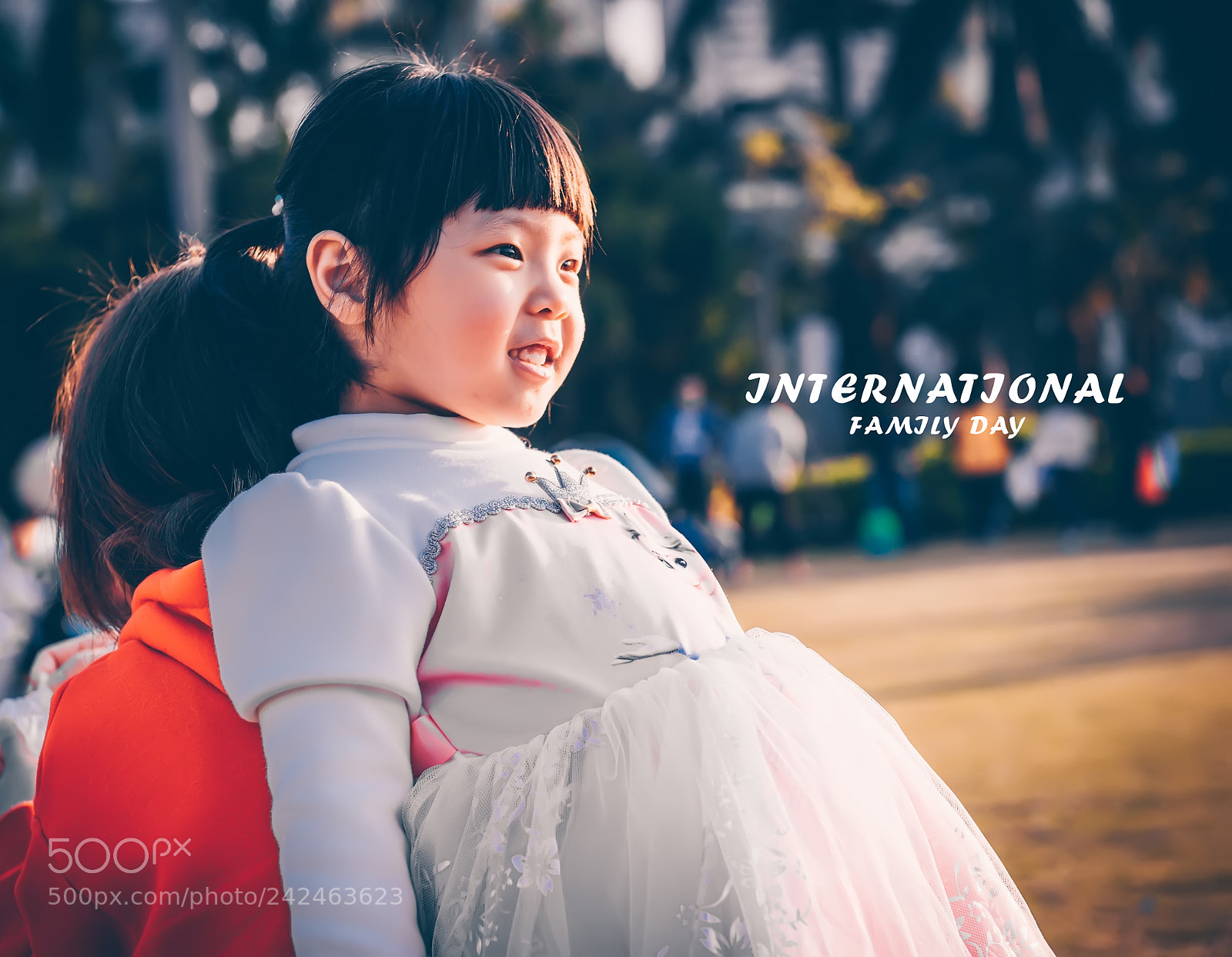 Nikon D810 sample photo. Untitled photography