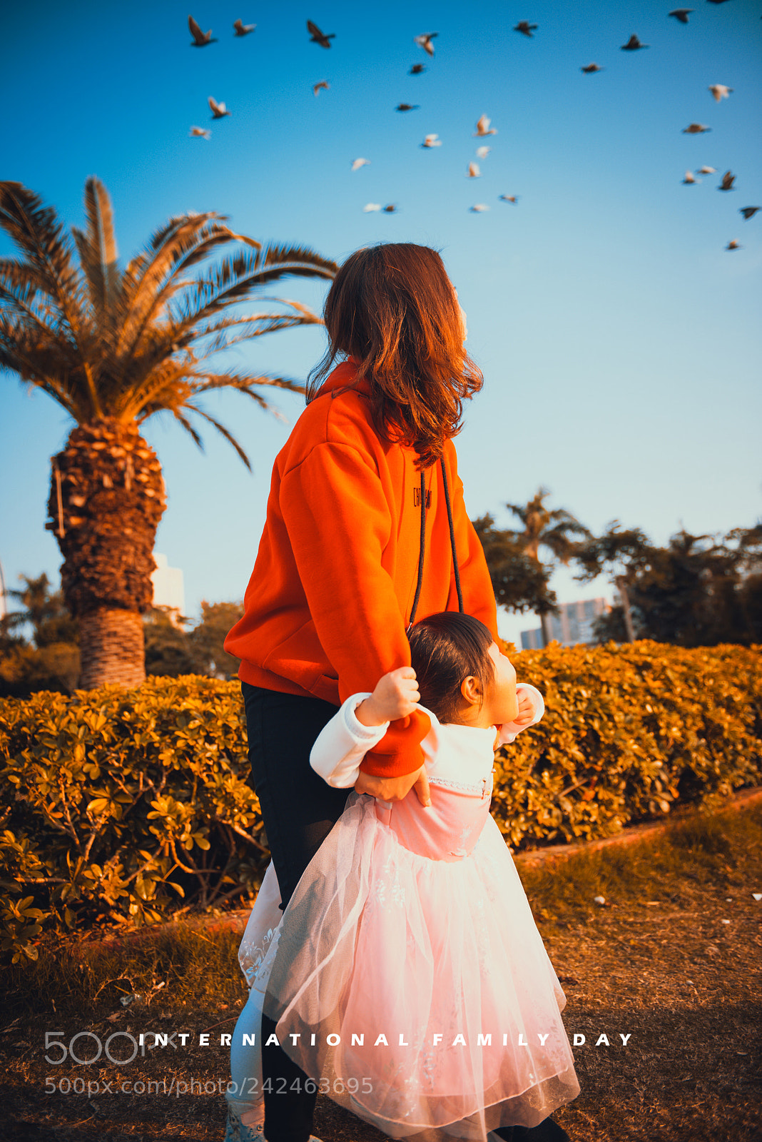 Nikon D810 sample photo. Untitled photography