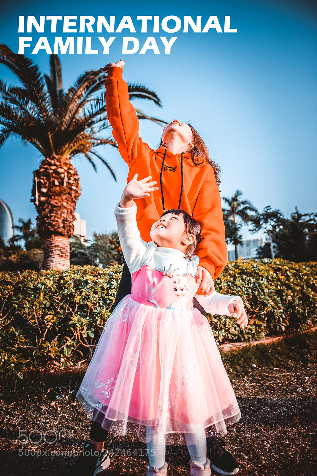 Nikon D810 sample photo. Untitled photography