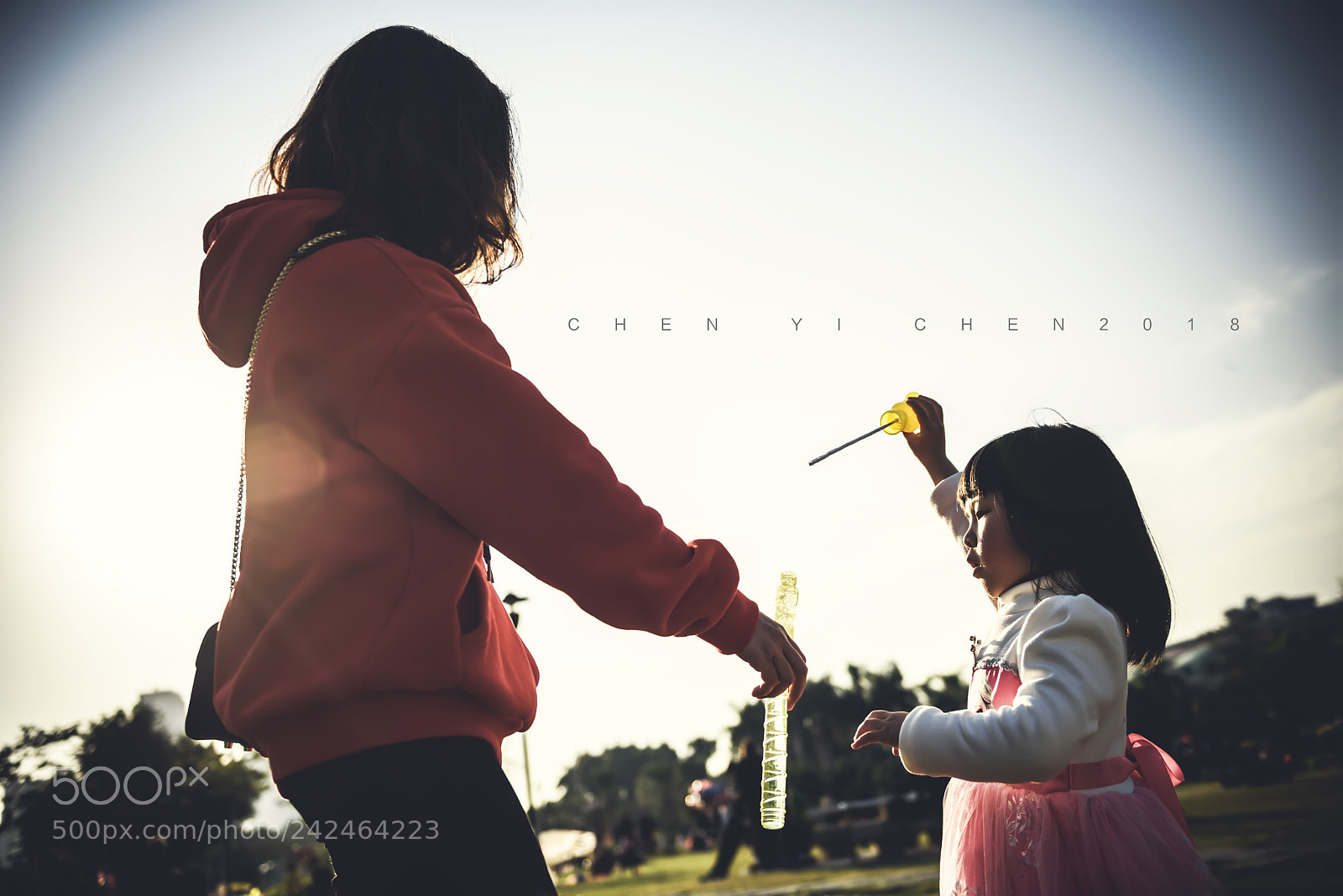Nikon D810 sample photo. Untitled photography