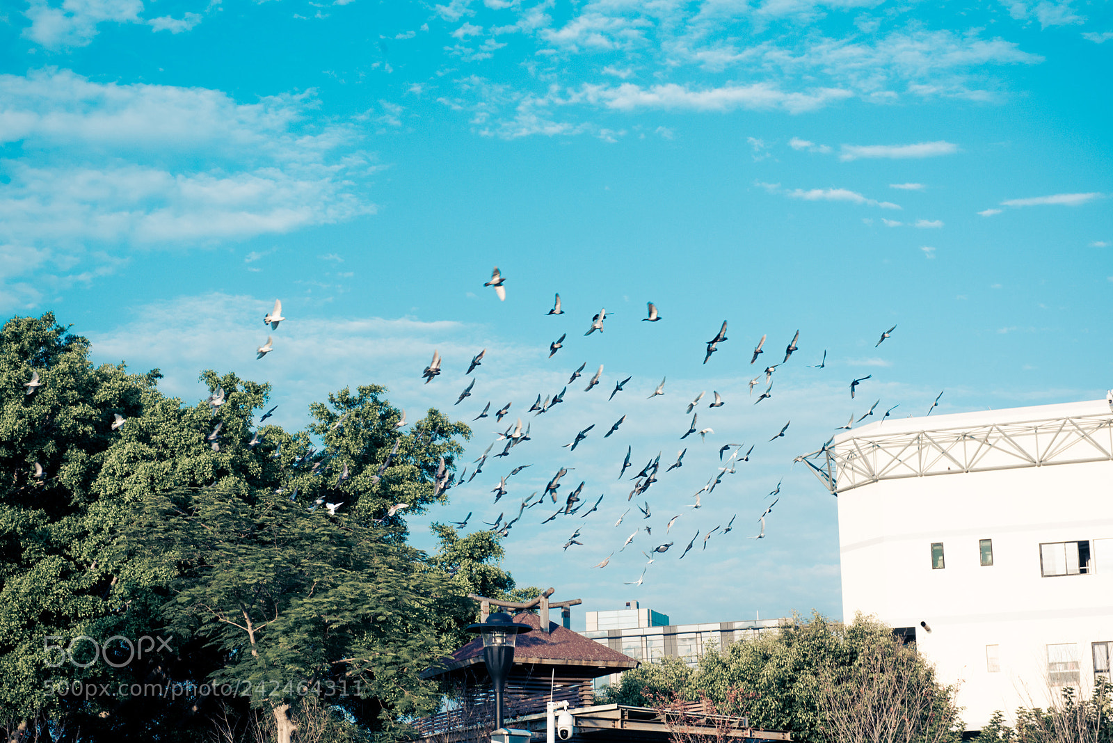 Nikon D810 sample photo. Untitled photography