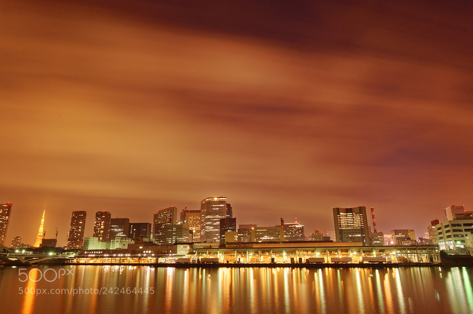 Nikon D3 sample photo. Tsukiji market photography