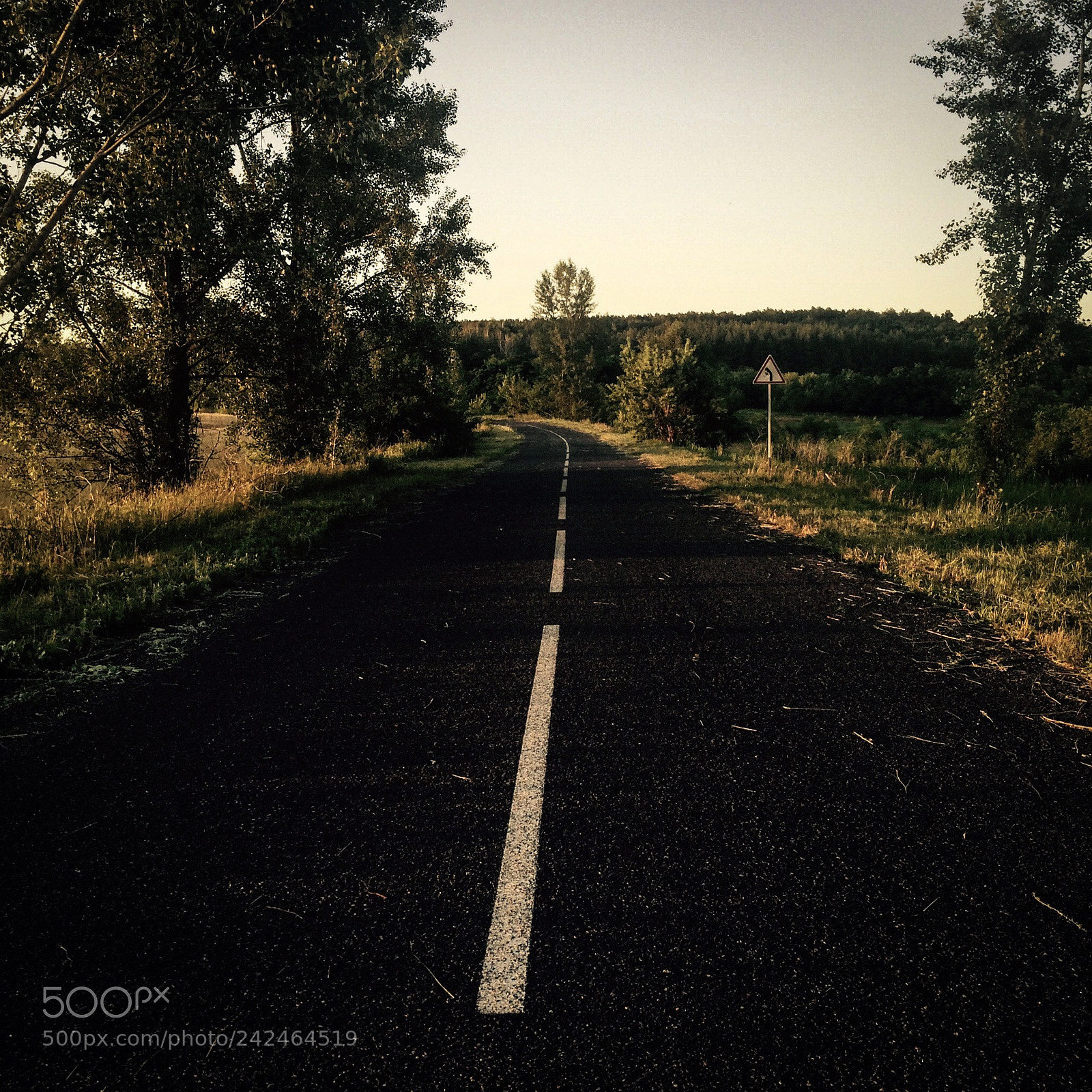 Apple iPhone 5s sample photo. Road into nowhere photography