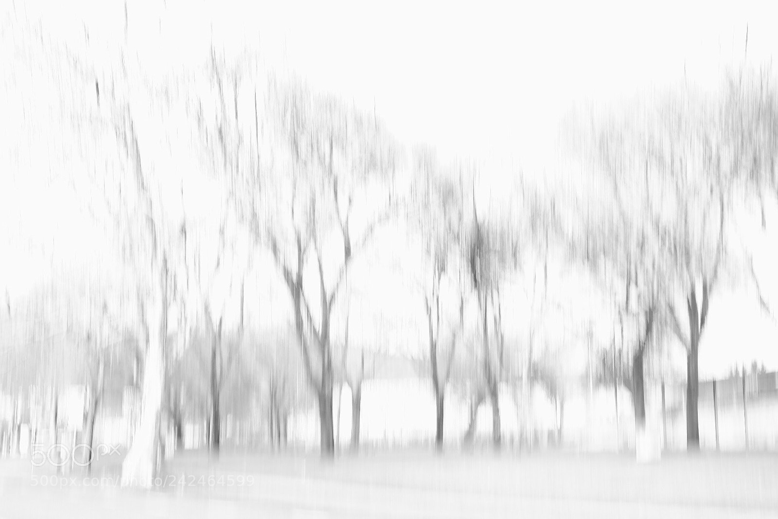 Fujifilm X-T1 sample photo. Untitled photography
