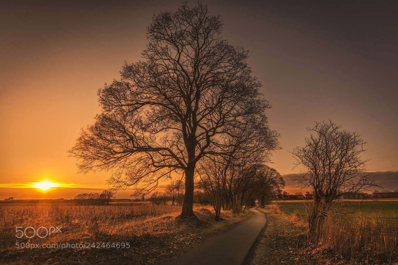 Nikon D7100 sample photo. Selige erinnerung photography