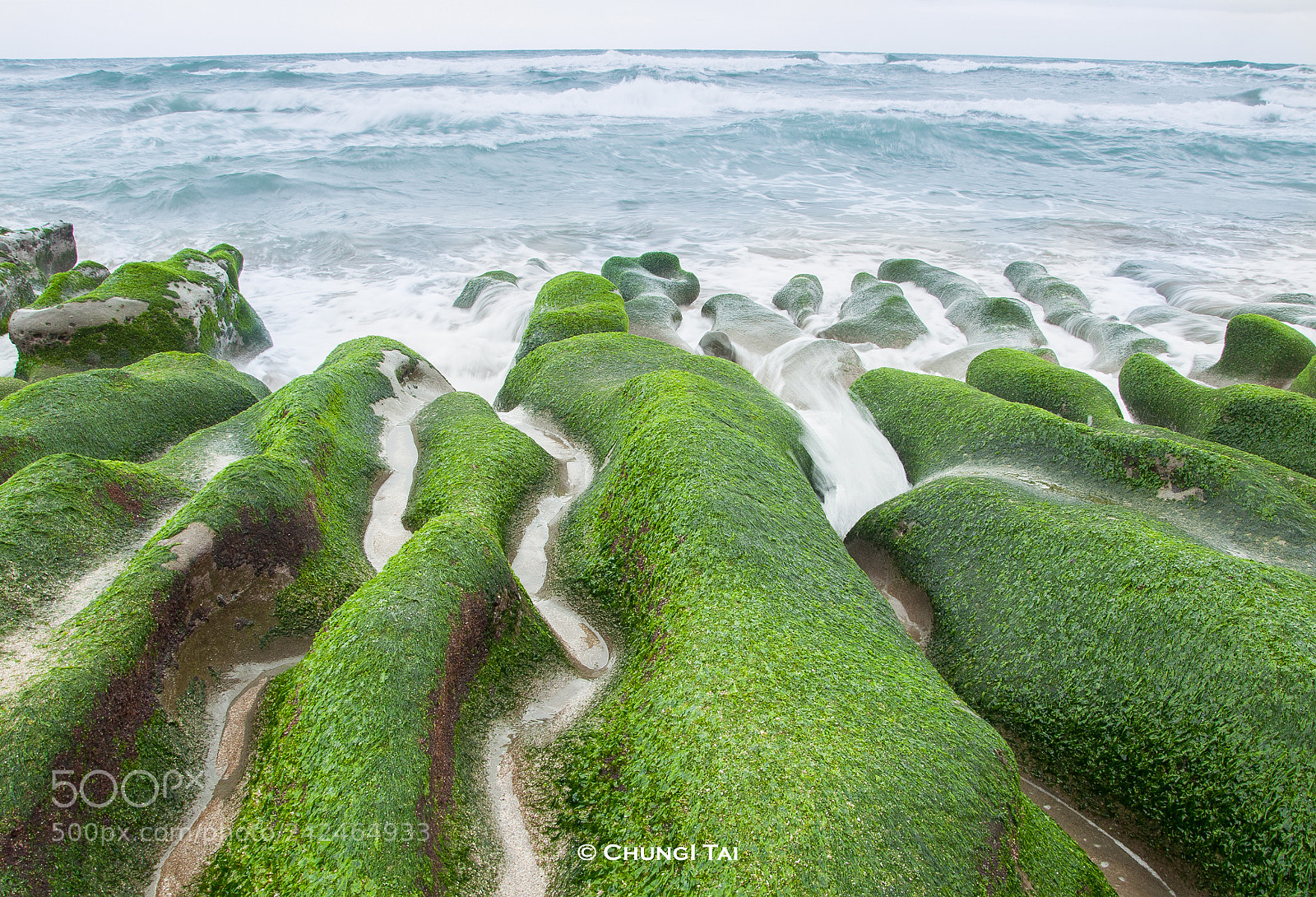 Nikon D90 sample photo. Laomei green reef photography