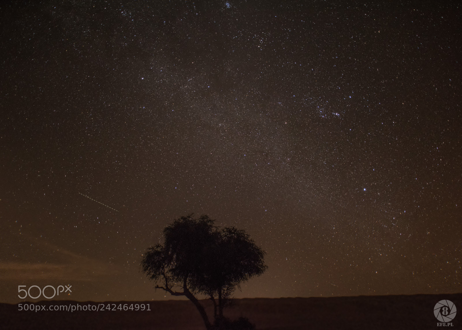 Nikon D810 sample photo. Night on wahiba sands photography
