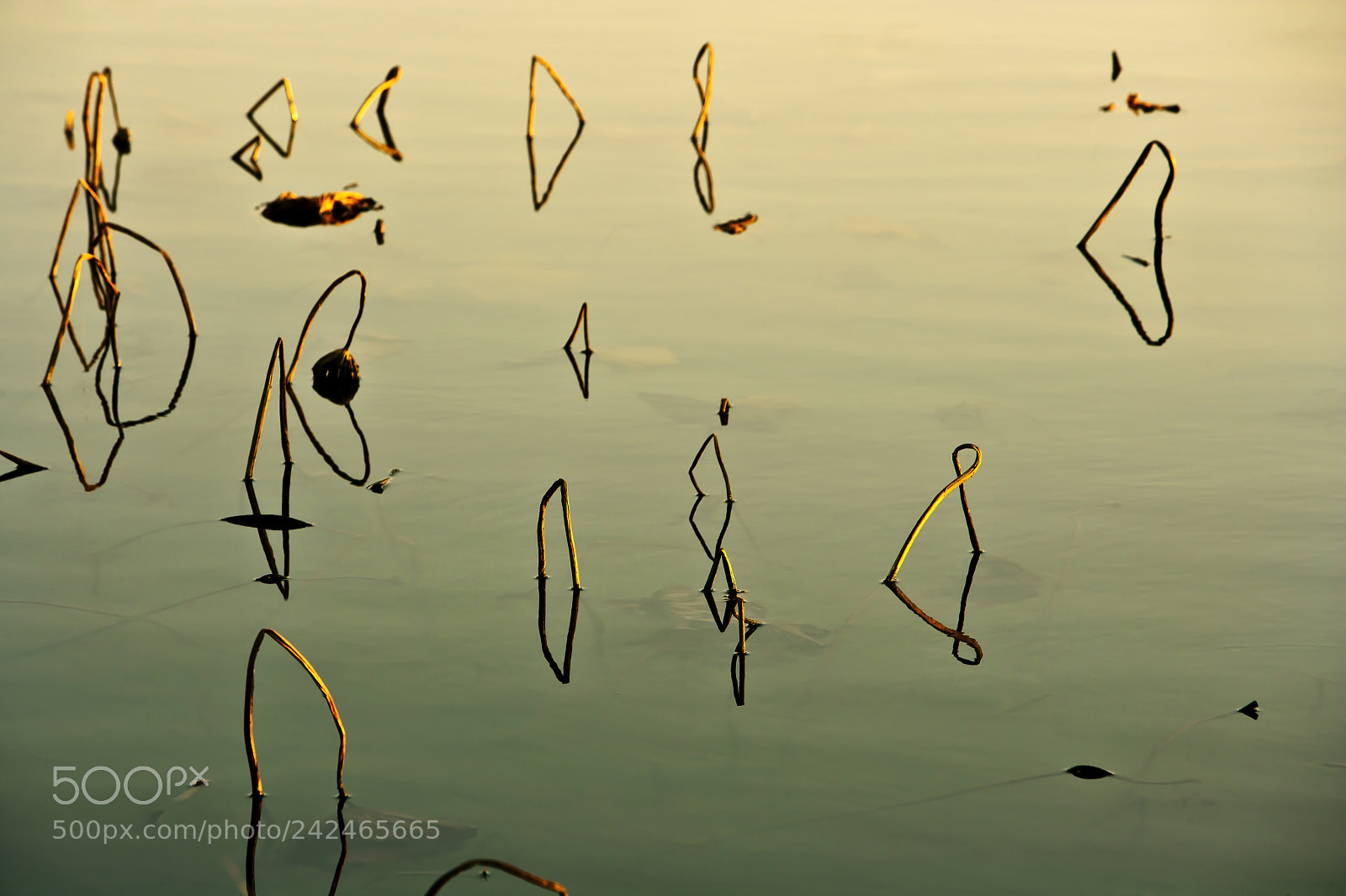 Canon EOS-1Ds Mark II sample photo. Abstraction lyrique photography