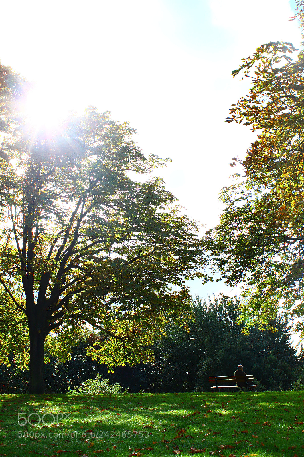 Canon EOS 500D (EOS Rebel T1i / EOS Kiss X3) sample photo. Many thoughts photography