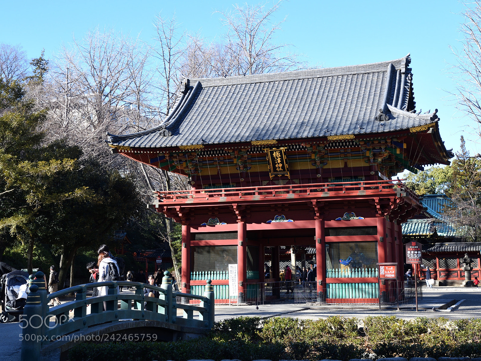 Nikon D500 sample photo. 根津神社 photography