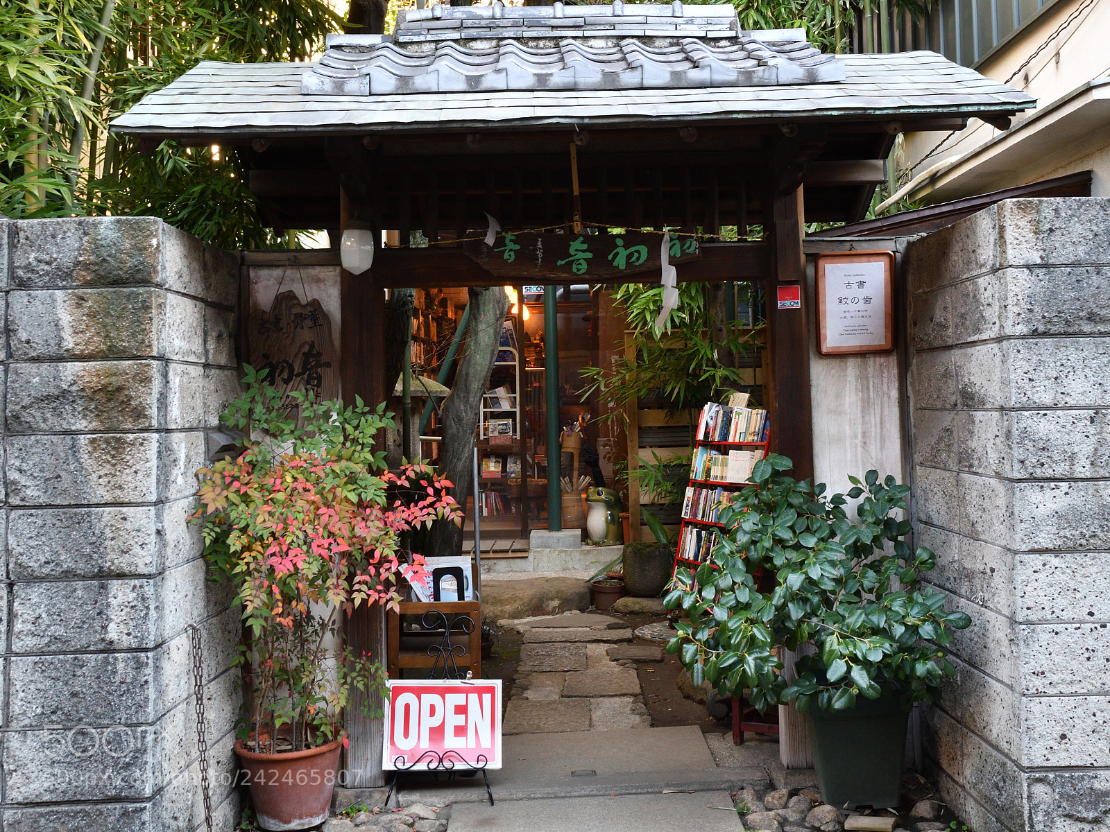 Nikon D500 sample photo. Bookstore photography