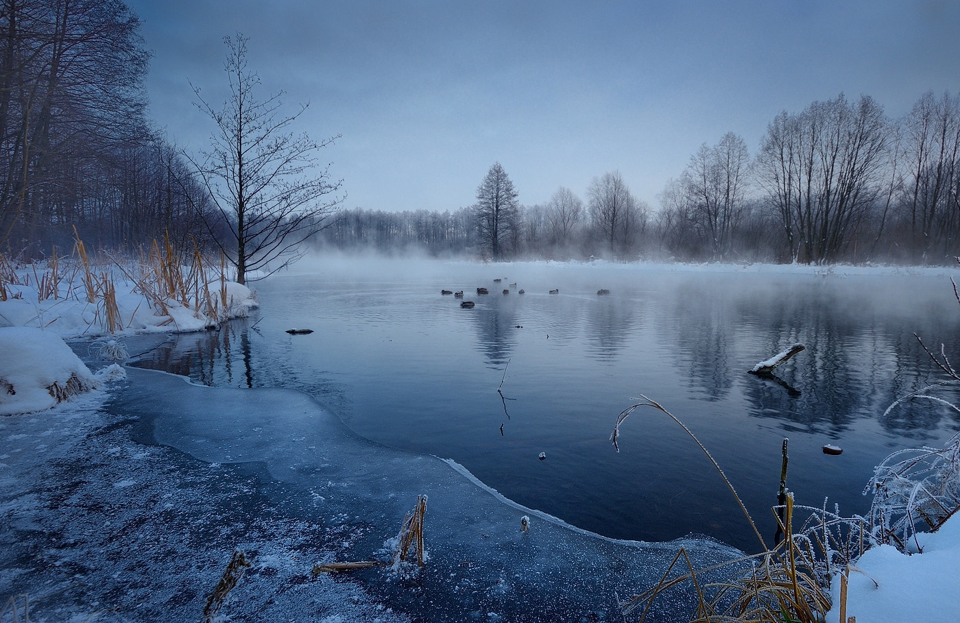 Nikon D800 + Sigma 10-20mm F3.5 EX DC HSM sample photo. Nd8_8133 1.jpg photography