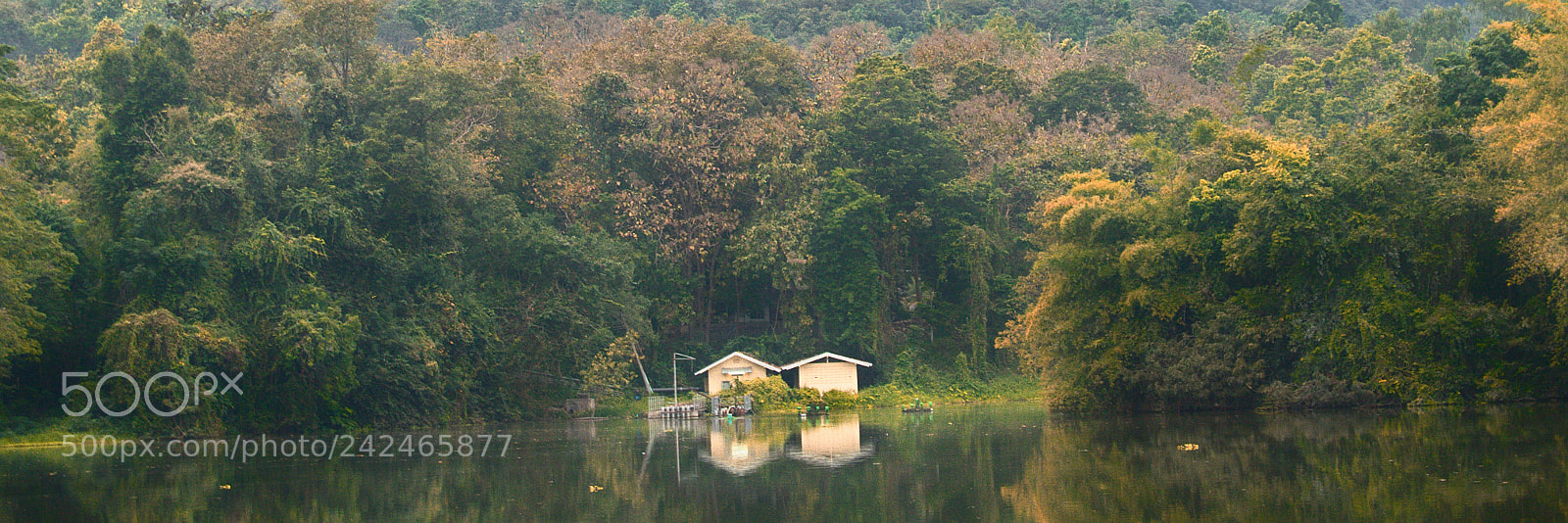 Nikon D3200 sample photo. Still photography
