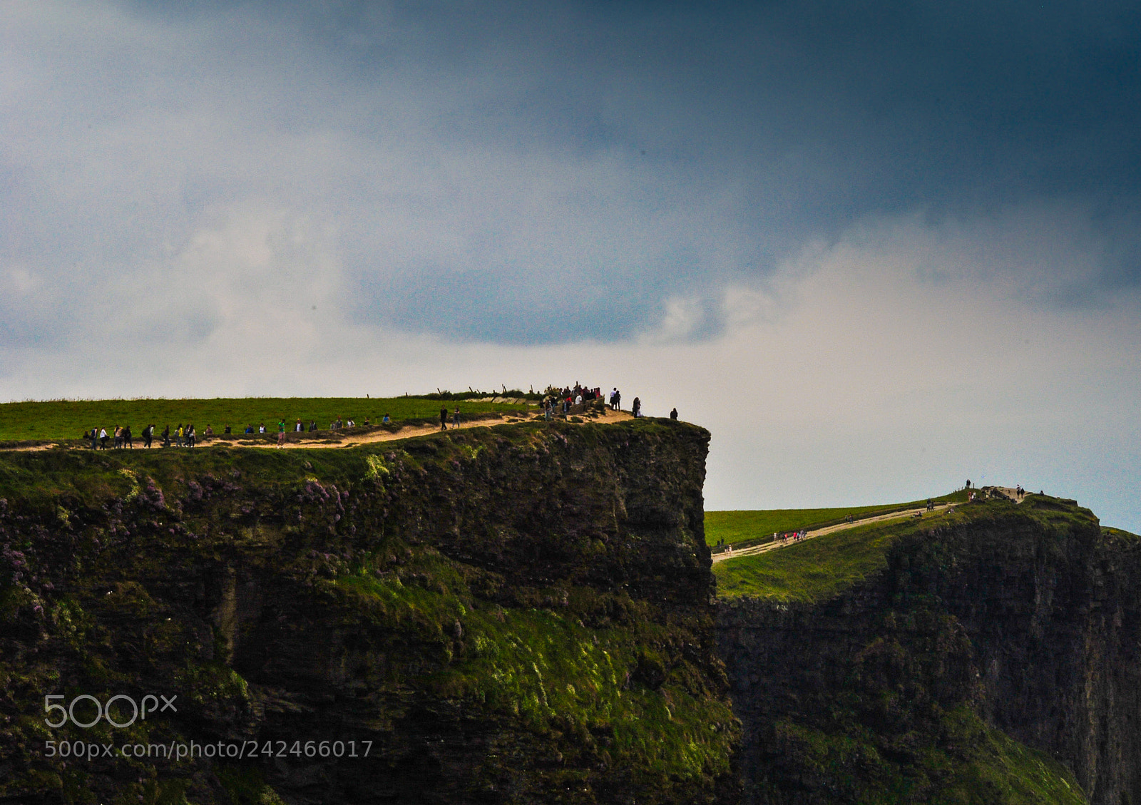 Nikon D3000 sample photo. Cliff walk photography