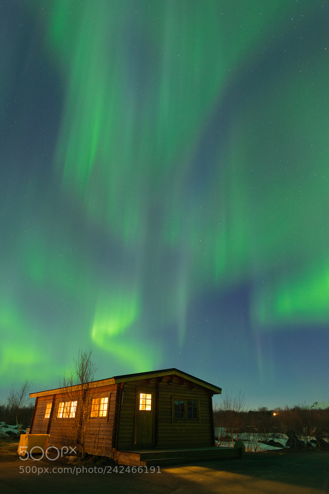 Nikon D800 sample photo. Aurora borealis with wooden photography