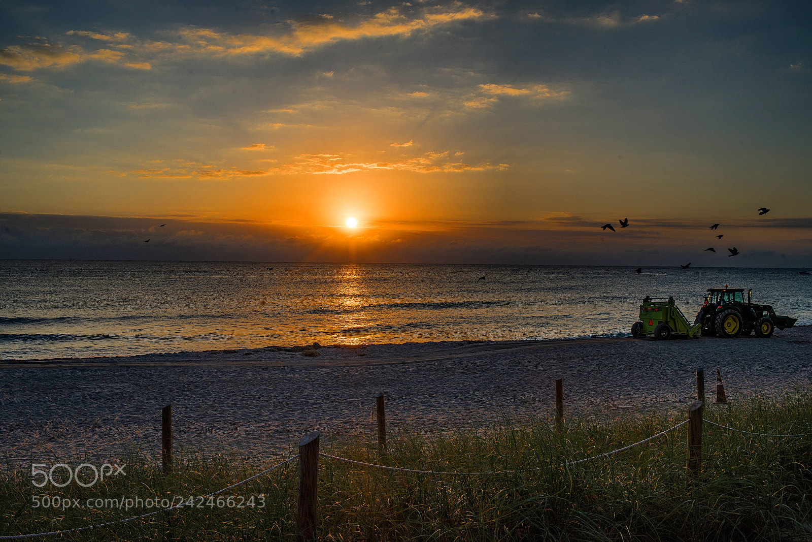 Nikon D800E sample photo. Deerfield beach photography