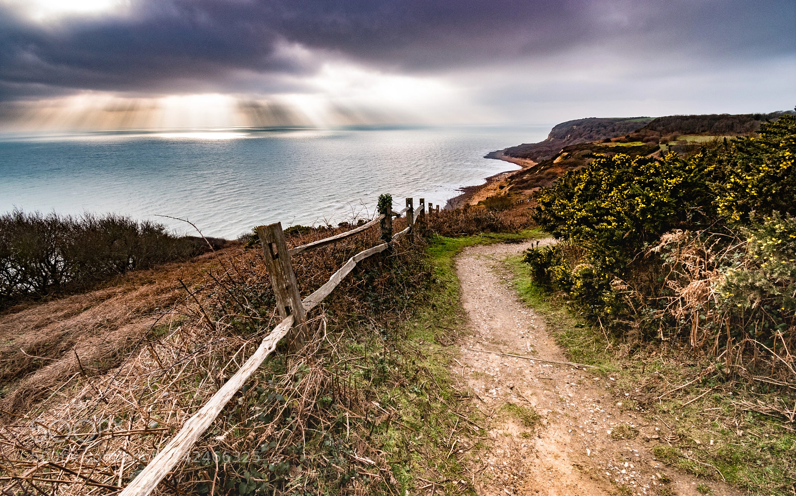 Nikon D5500 sample photo. Fairlight uk photography