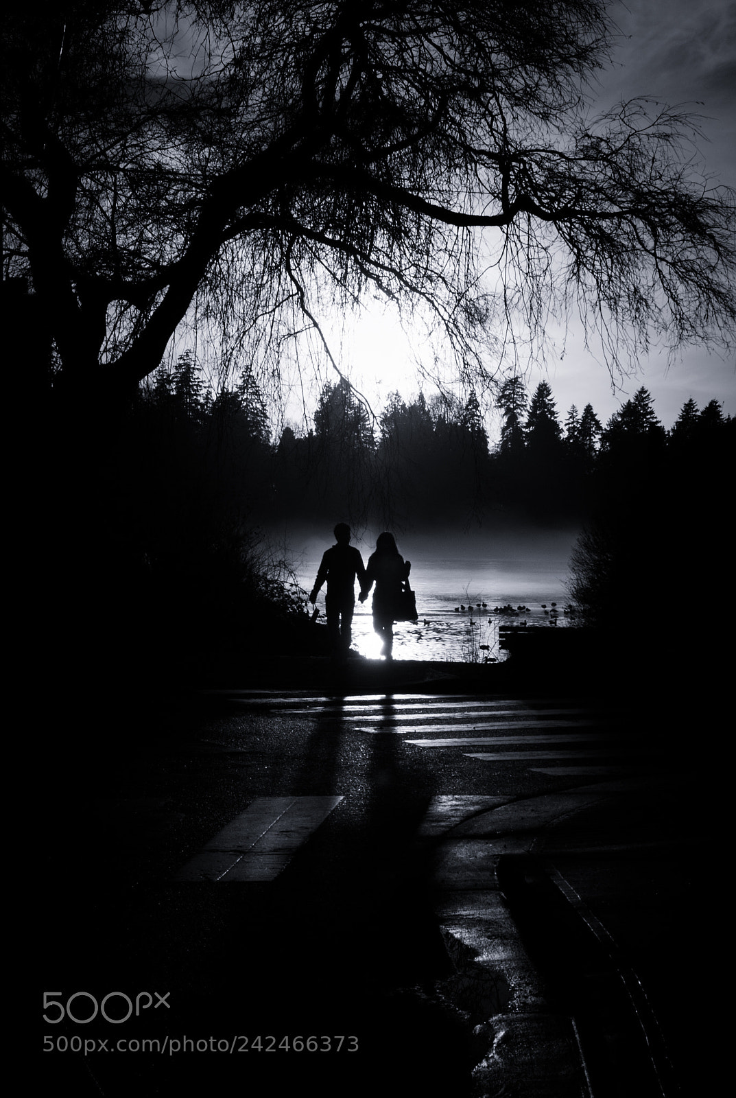 Nikon D800 sample photo. Shadow couple photography