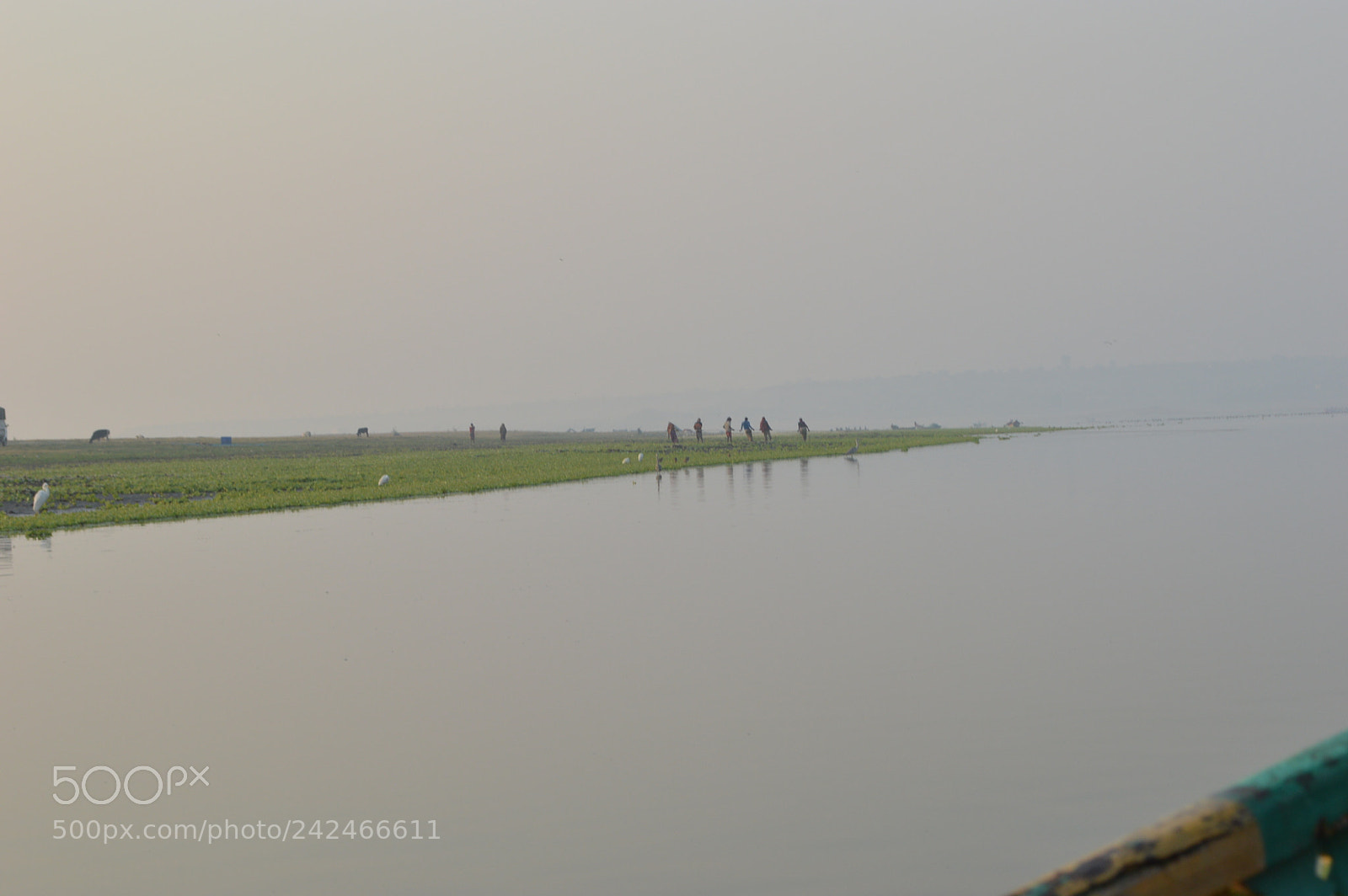 Nikon D3200 sample photo. Birds photography photography