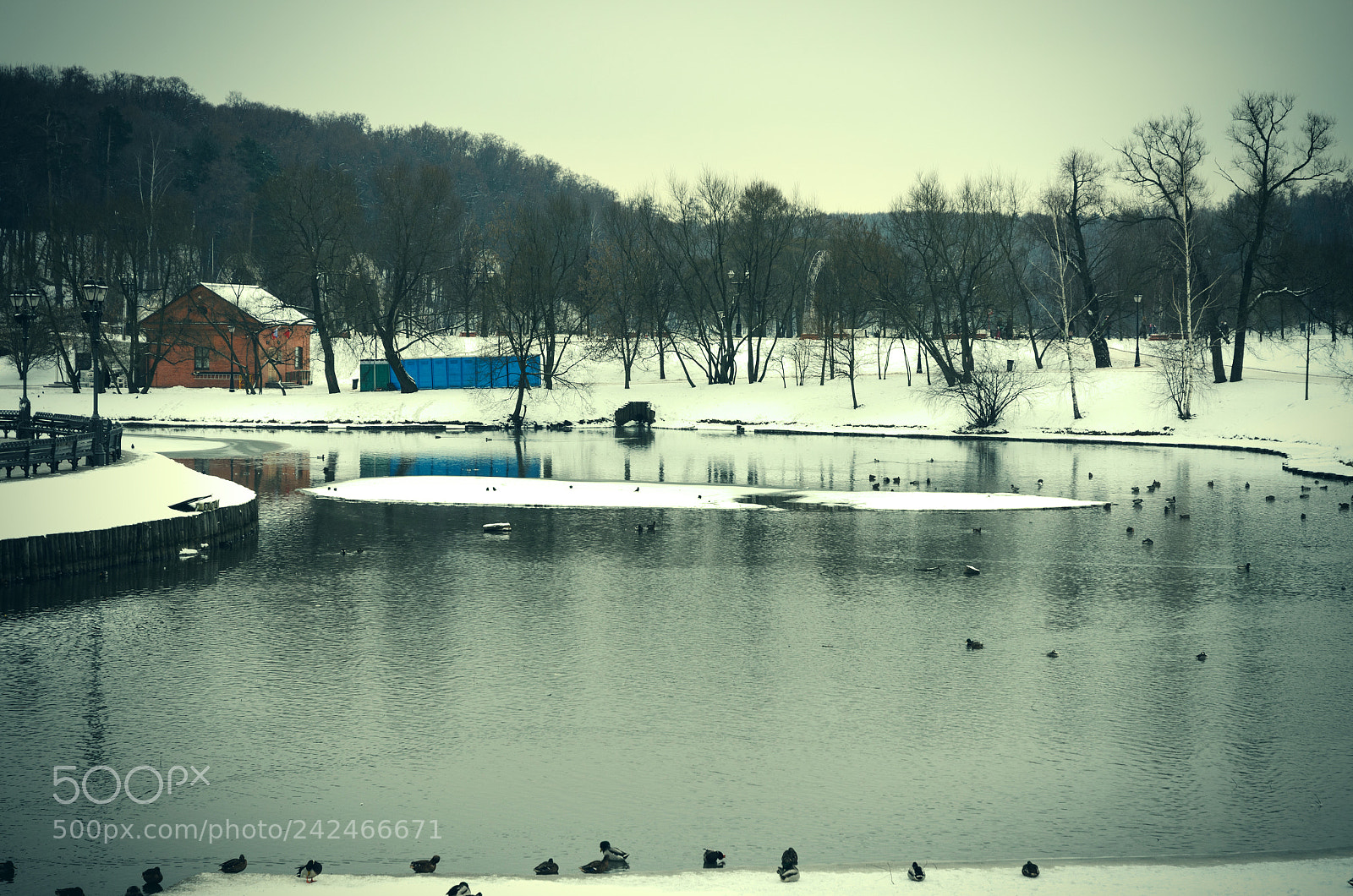 Nikon D5100 sample photo. 257 photography