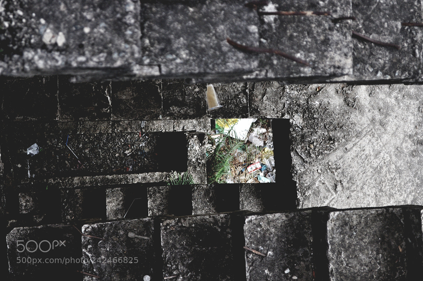 Nikon D90 sample photo. Untitled photography
