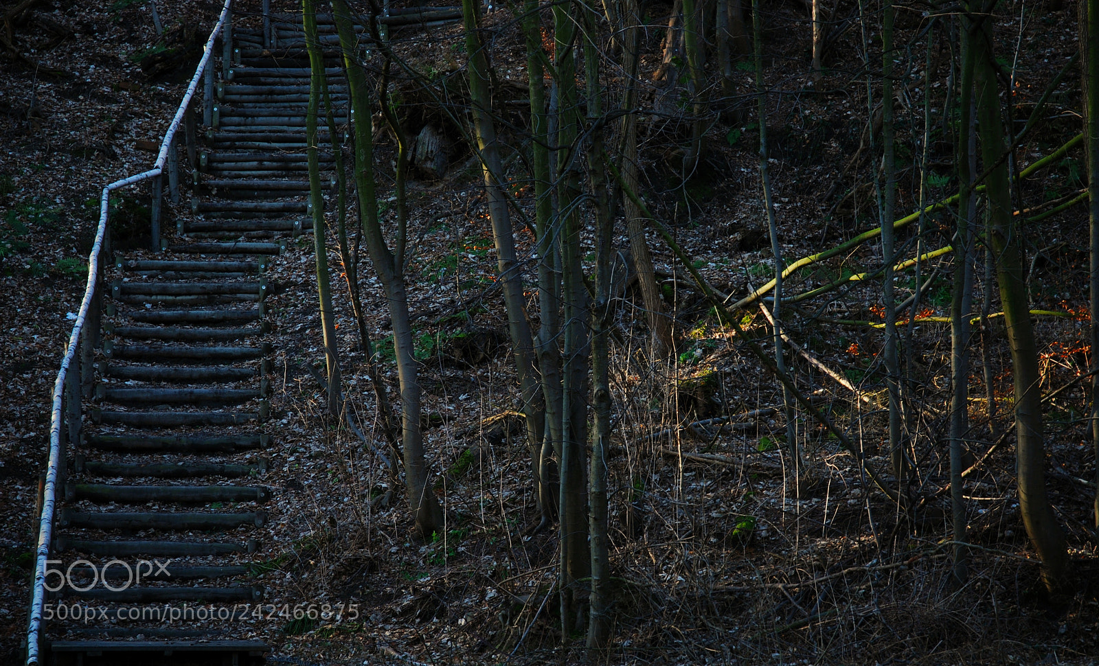 Nikon D40X sample photo. Stairway photography