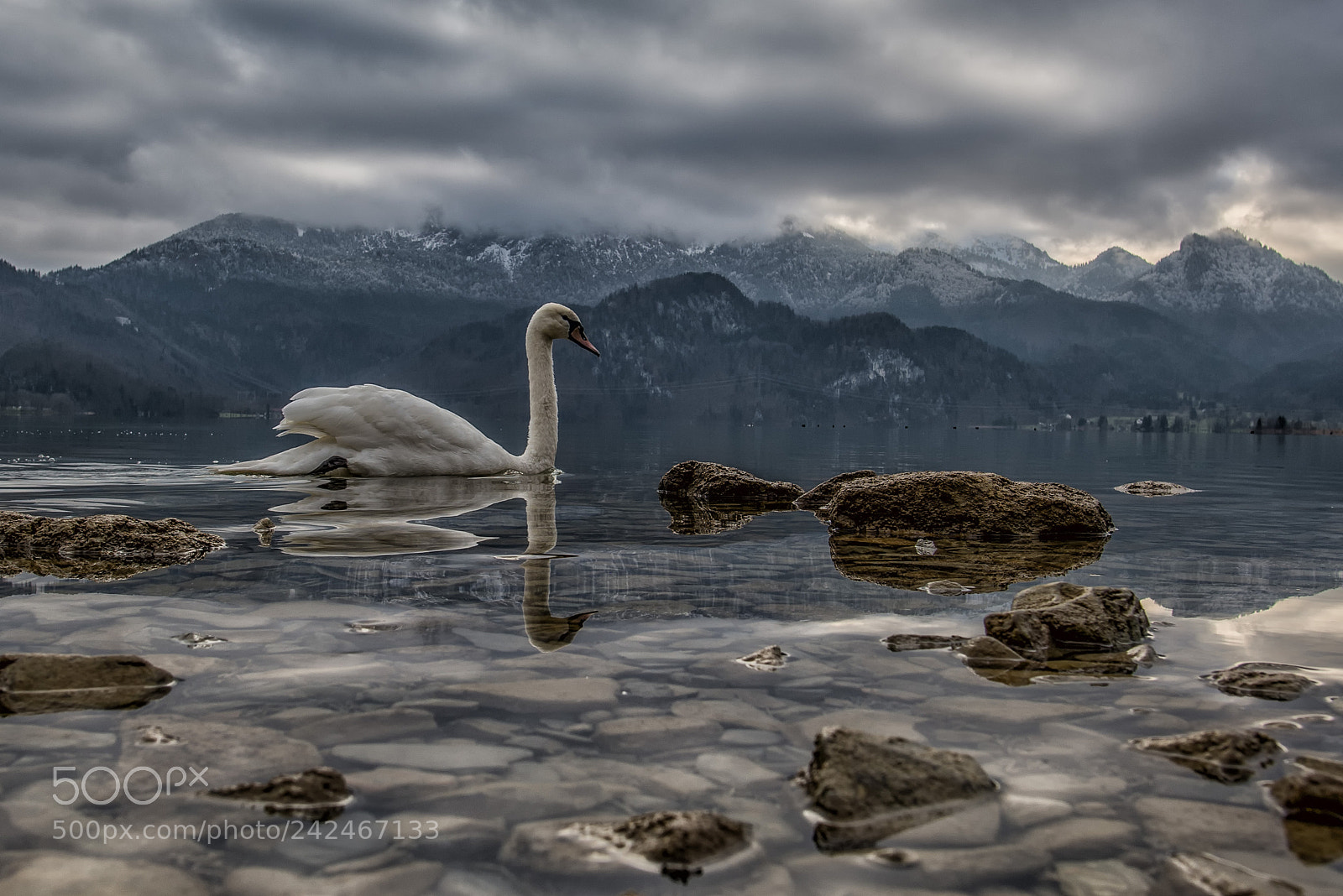 Nikon D600 sample photo. Boss of lake kochel photography