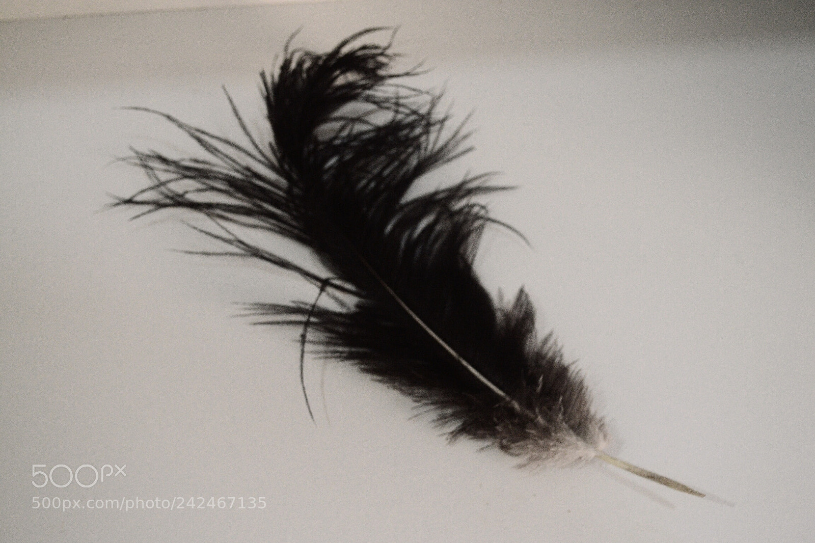 Nikon D3100 sample photo. Untitled photography