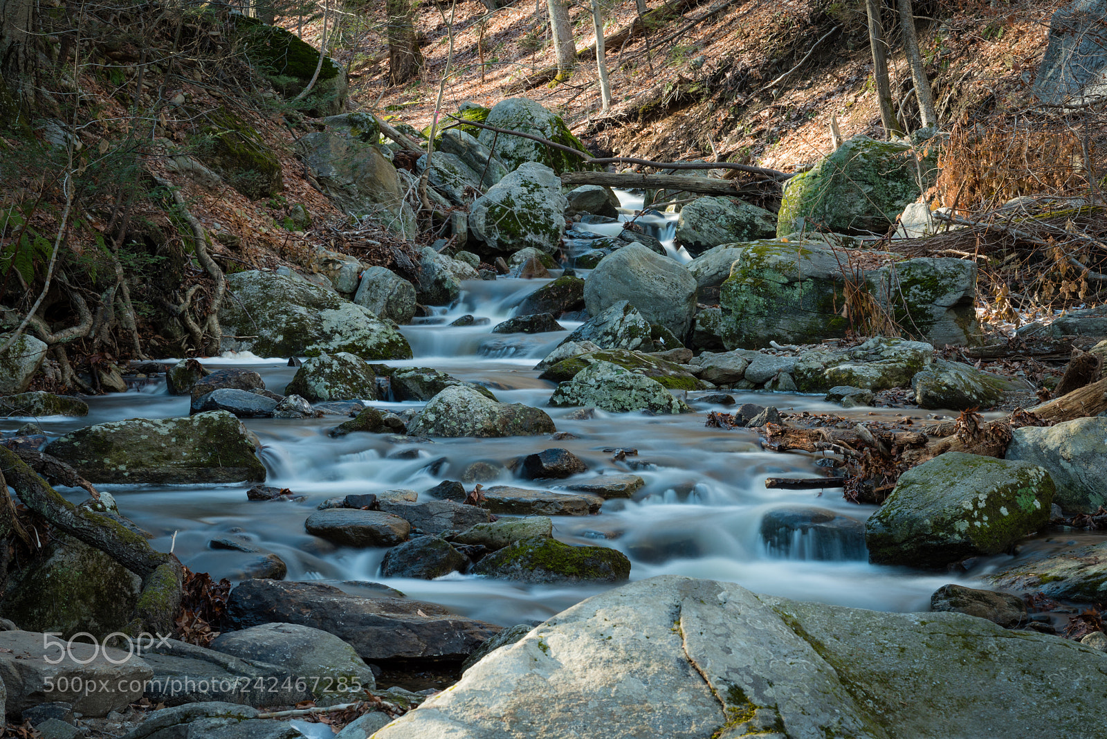 Nikon D810 sample photo. Cascade photography