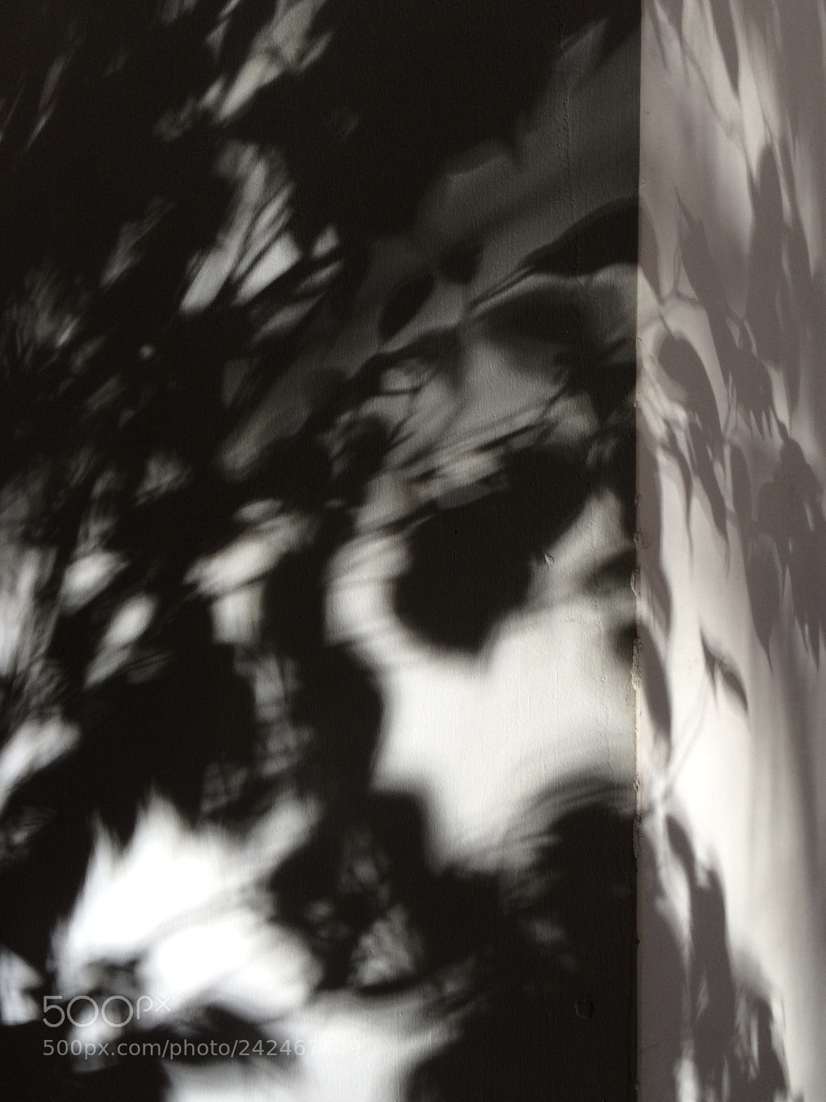 Apple iPhone 5s sample photo. Oil painting of shadow photography