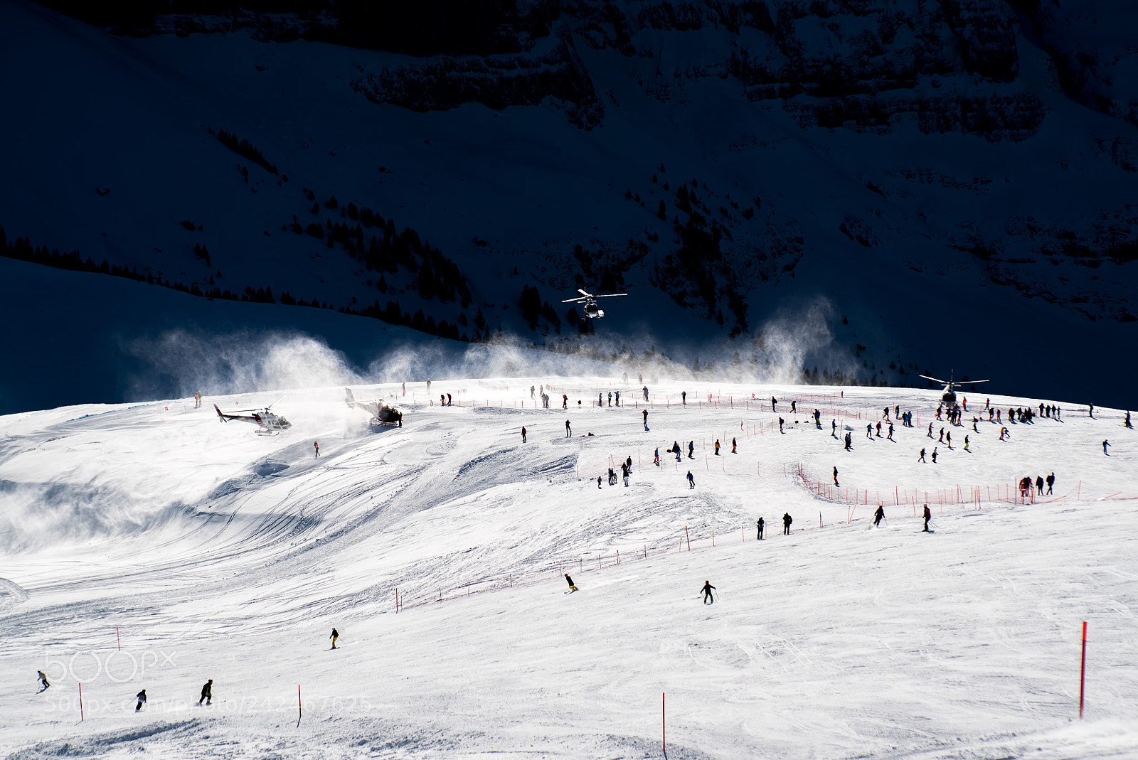 Sony a7S sample photo. Snow and fly photography