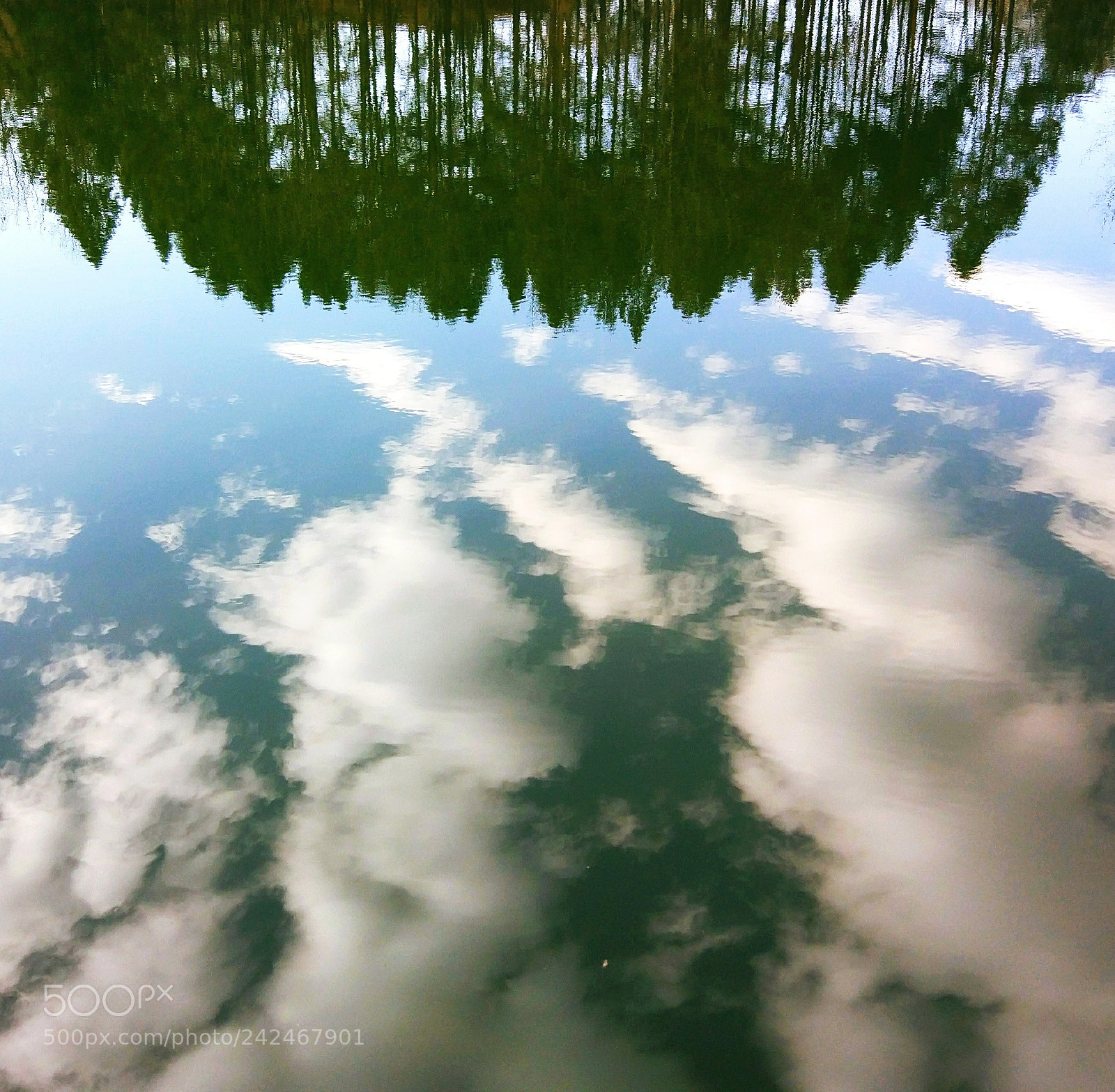 Xiaomi MI 5 sample photo. Untitled photography