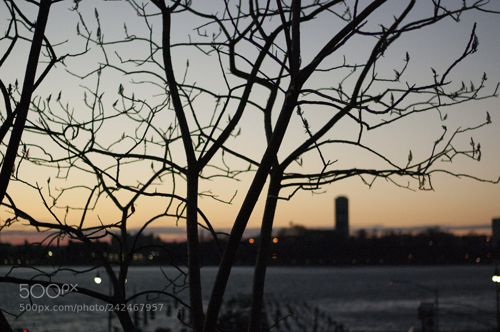 Nikon D40 sample photo. From the high line photography